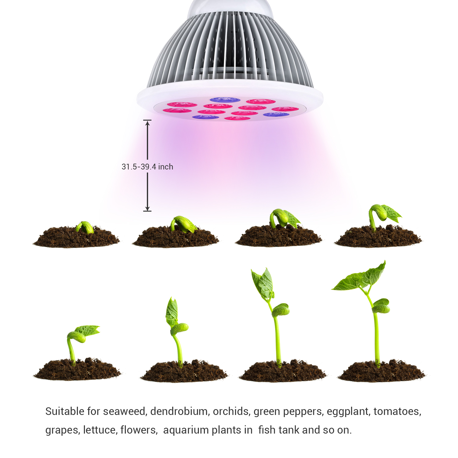 Indoor LAMP for flowering