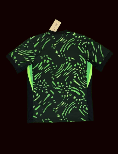 Maillot Extérieur Nigeria 2024/2025 Supporters Version
