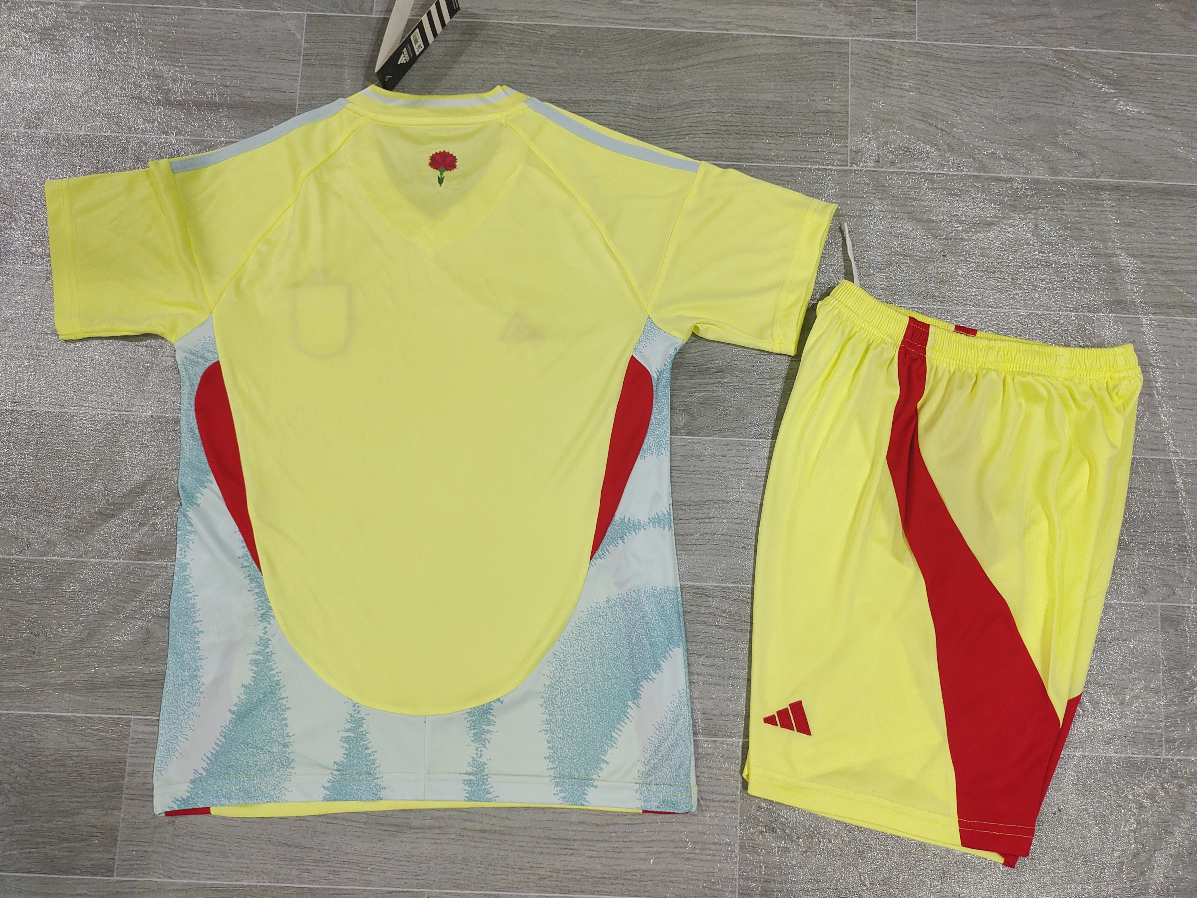 Maillot Extérieur Espagne 2024/2025 Enfant/Ado Supporters Version