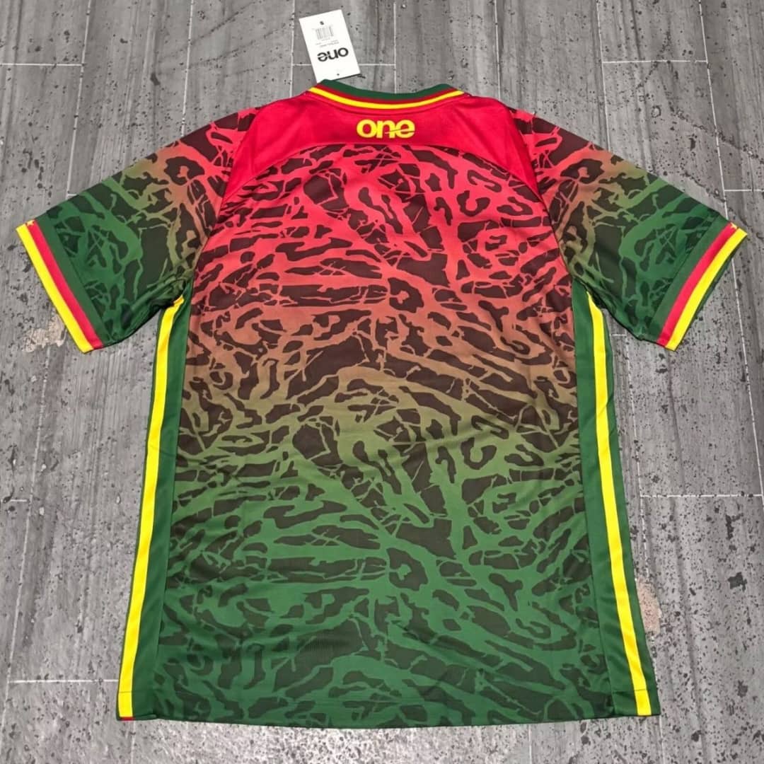 Maillot Domicile Cameroun 2024/2025 Players Version