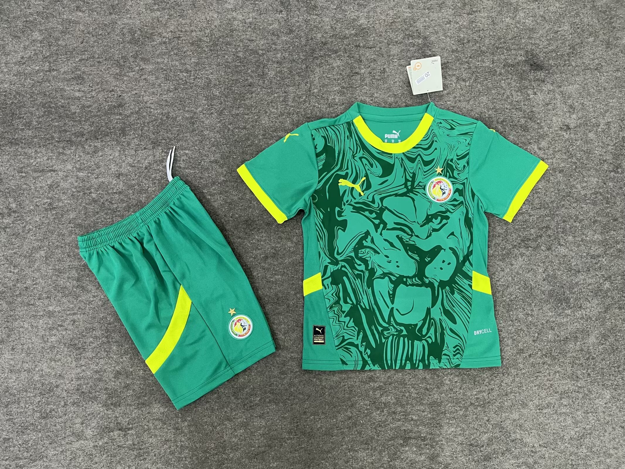 Maillot Extérieur Sénegal 2024/2025 Enfant/Ado Supporters Version