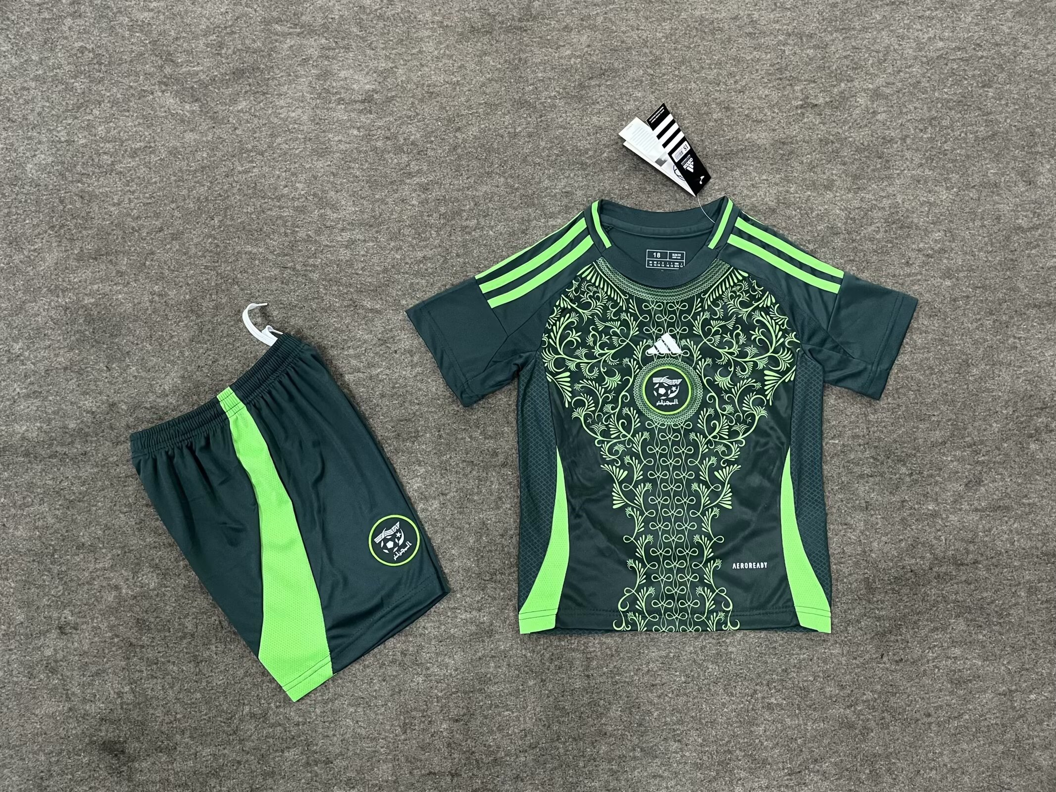 Maillot Extérieur Algerie 2024/2025 Enfant/Ado Supporters Version