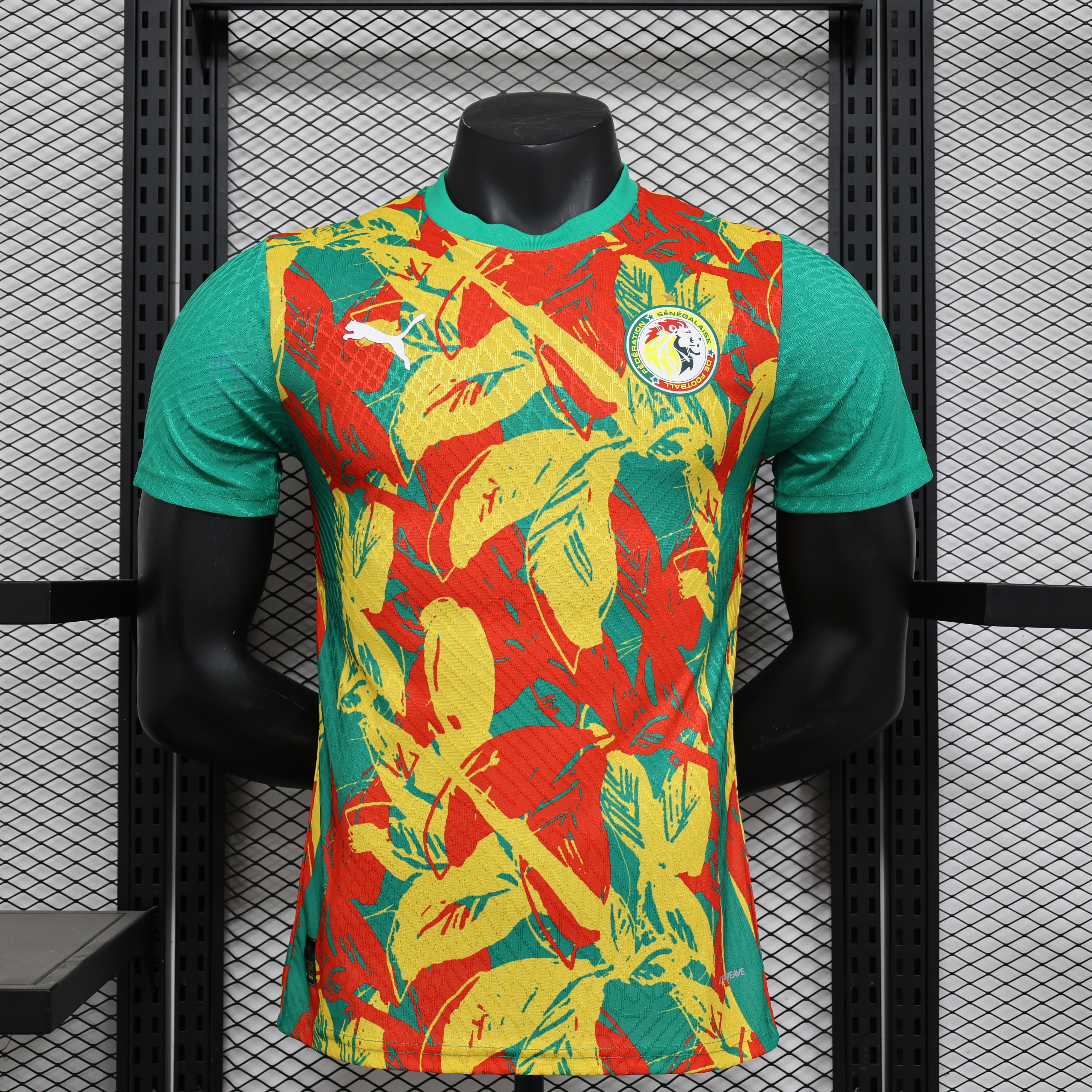 Maillot Avant-Match Senegal 2024/2025 Players Version