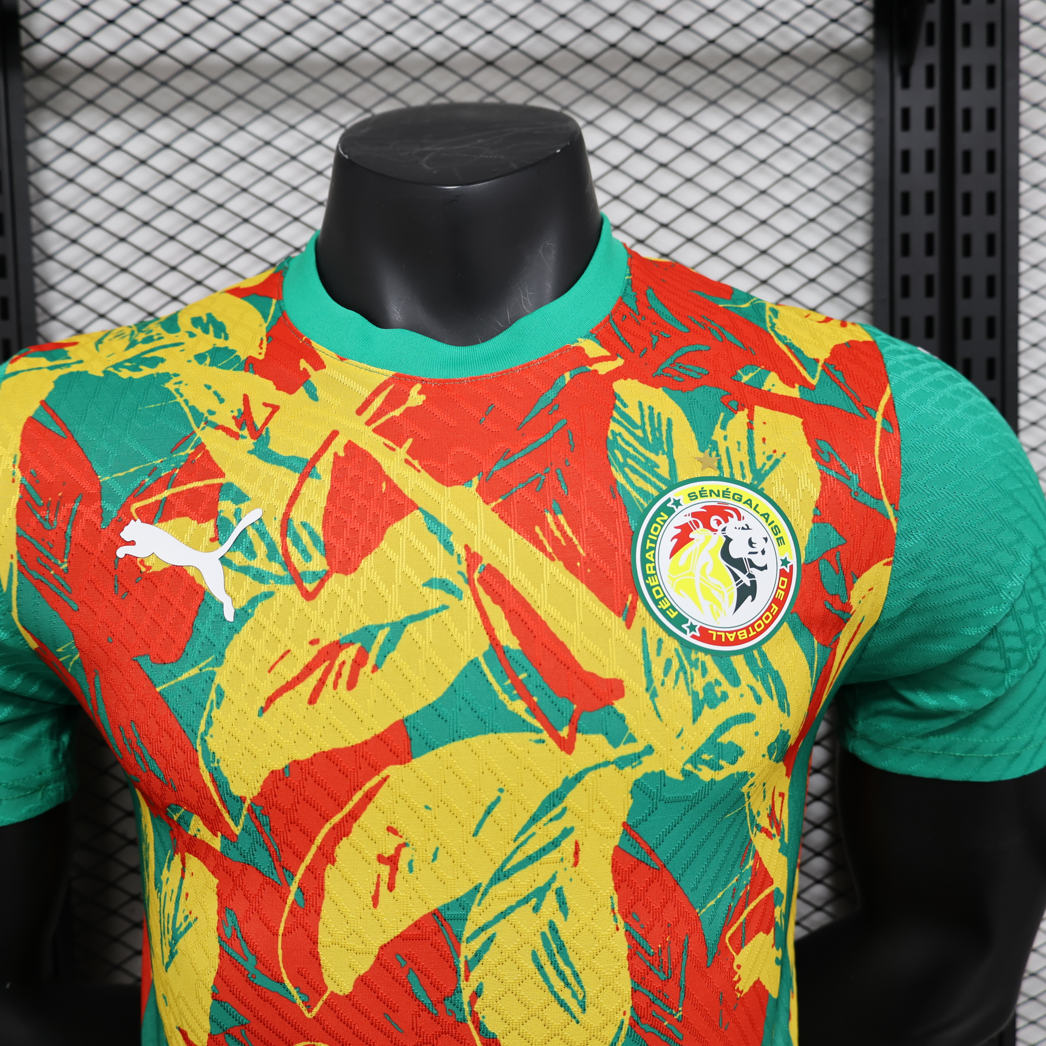 Maillot Avant-Match Senegal 2024/2025 Players Version