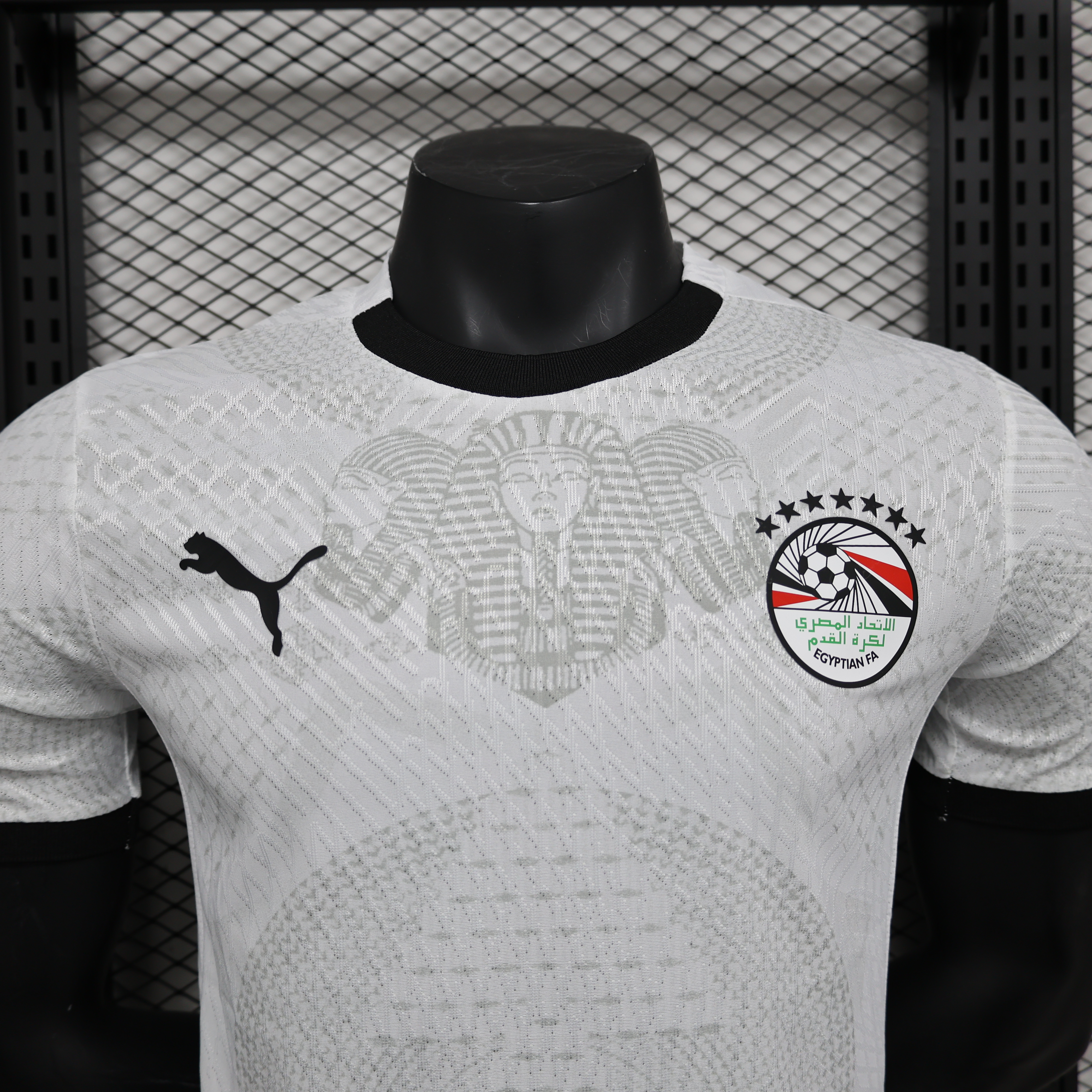 Maillot Extérieur Egypte 2024/2025 Players Version