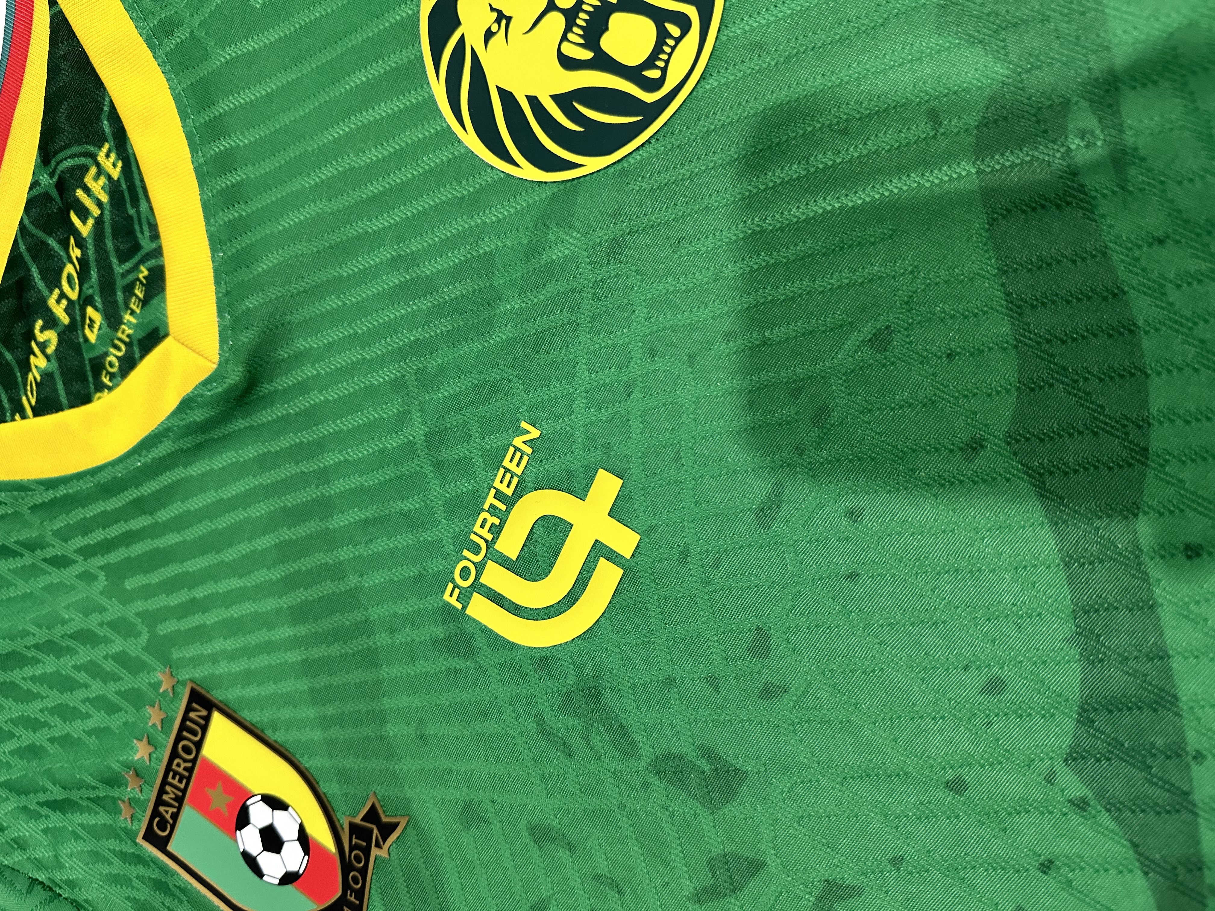 Maillot Domicile Cameroun 2025/2026 Players Version