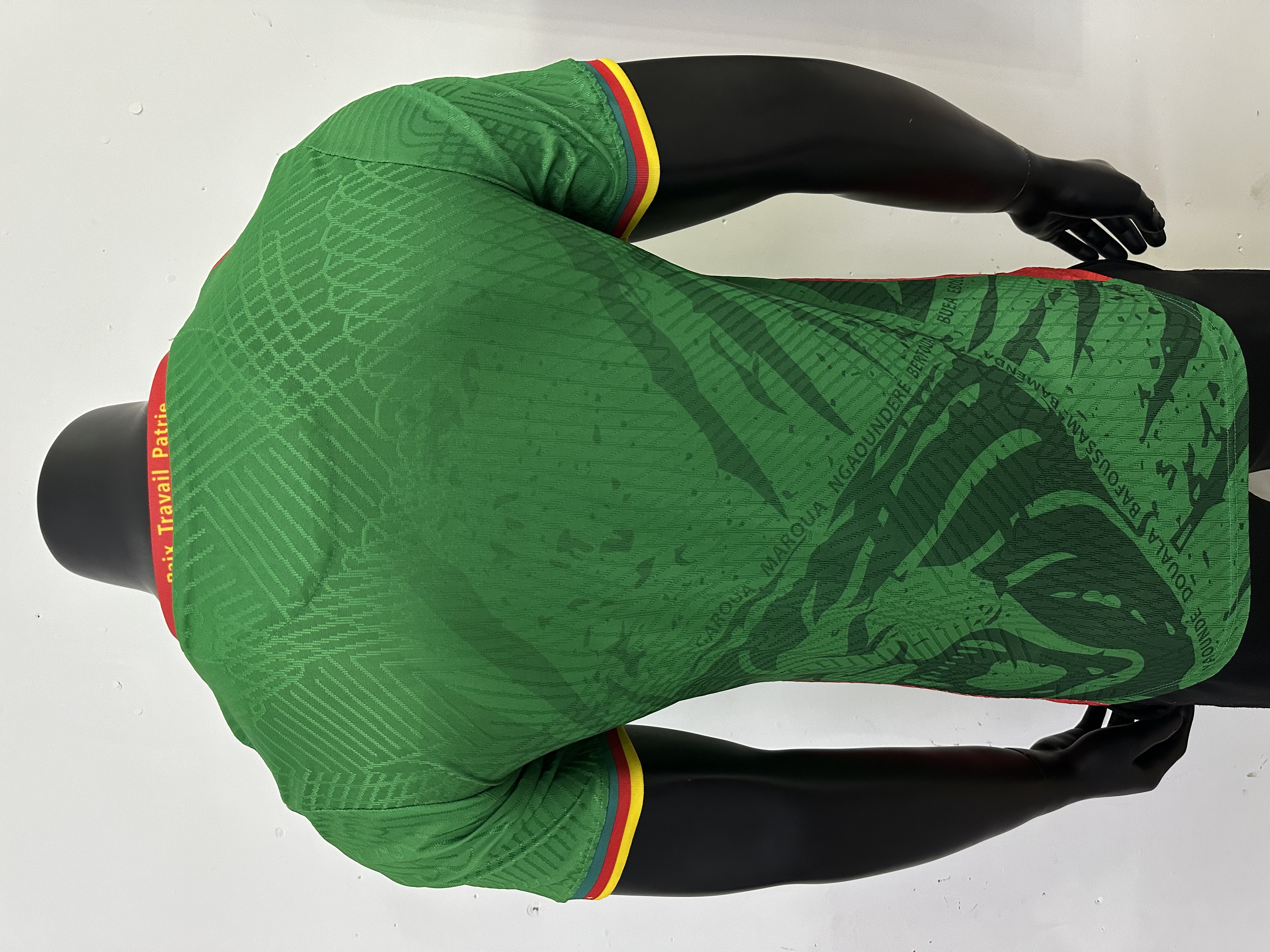 Maillot Domicile Cameroun 2025/2026 Players Version