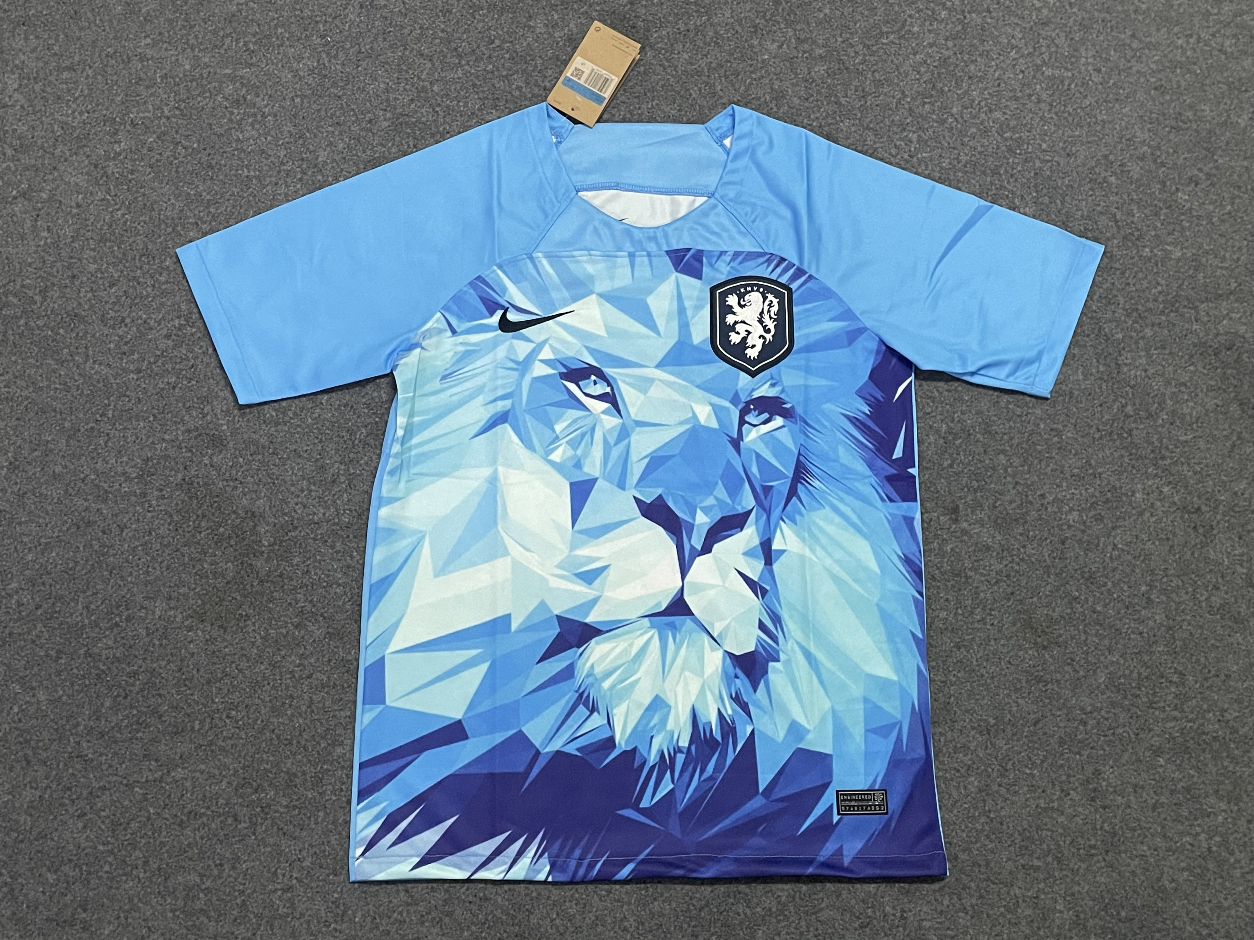 Maillot Concept Pays-Bas 2024 Supporters Version