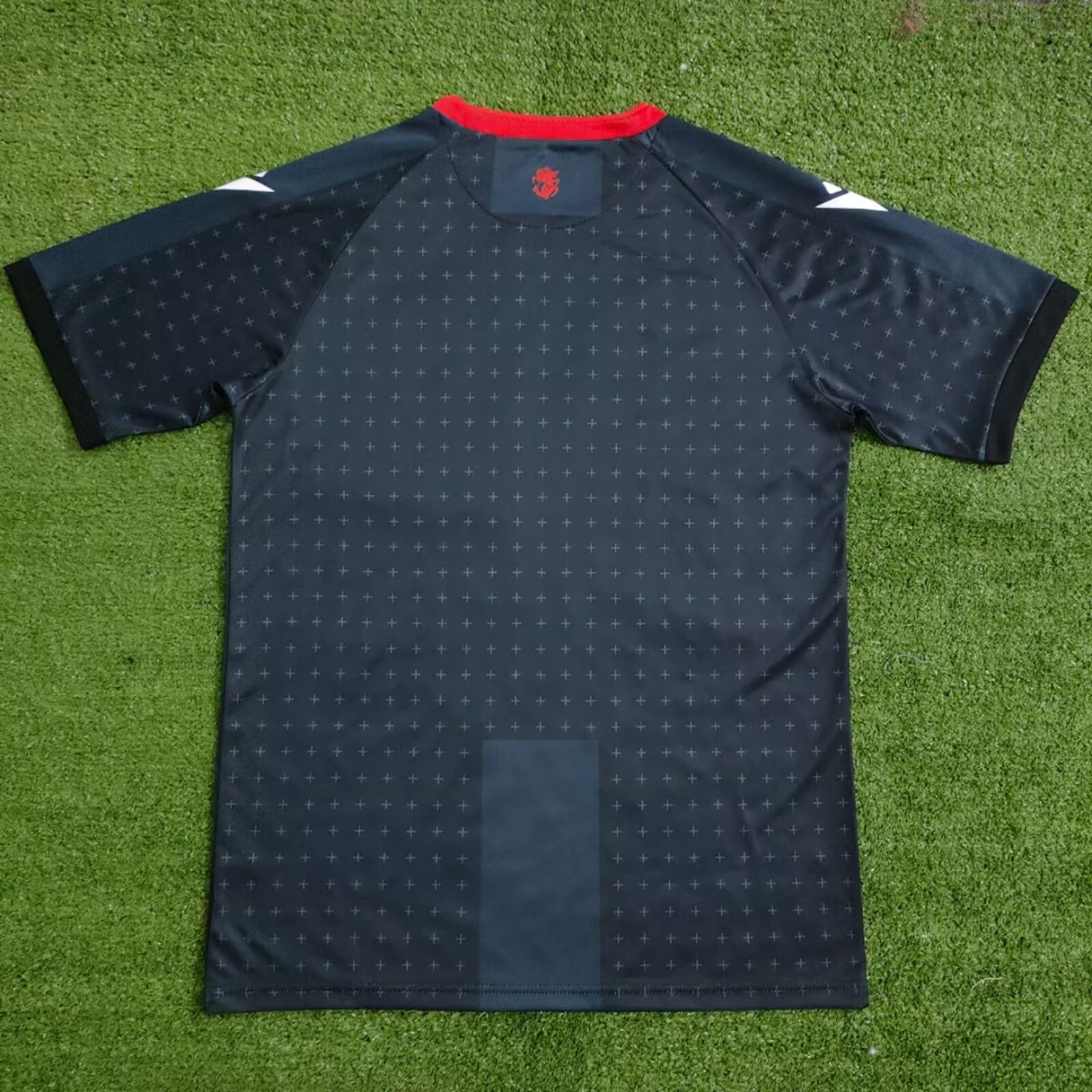 Maillot Extérieur Georgie 2024/2025 Supporters Version