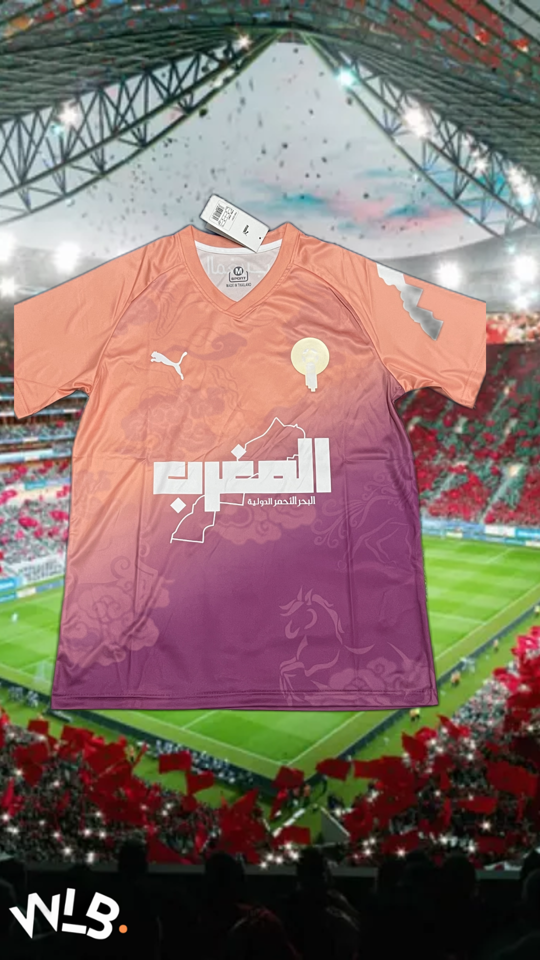 Maillot Concept Maroc MARRON 2024/2025 Supporters Version