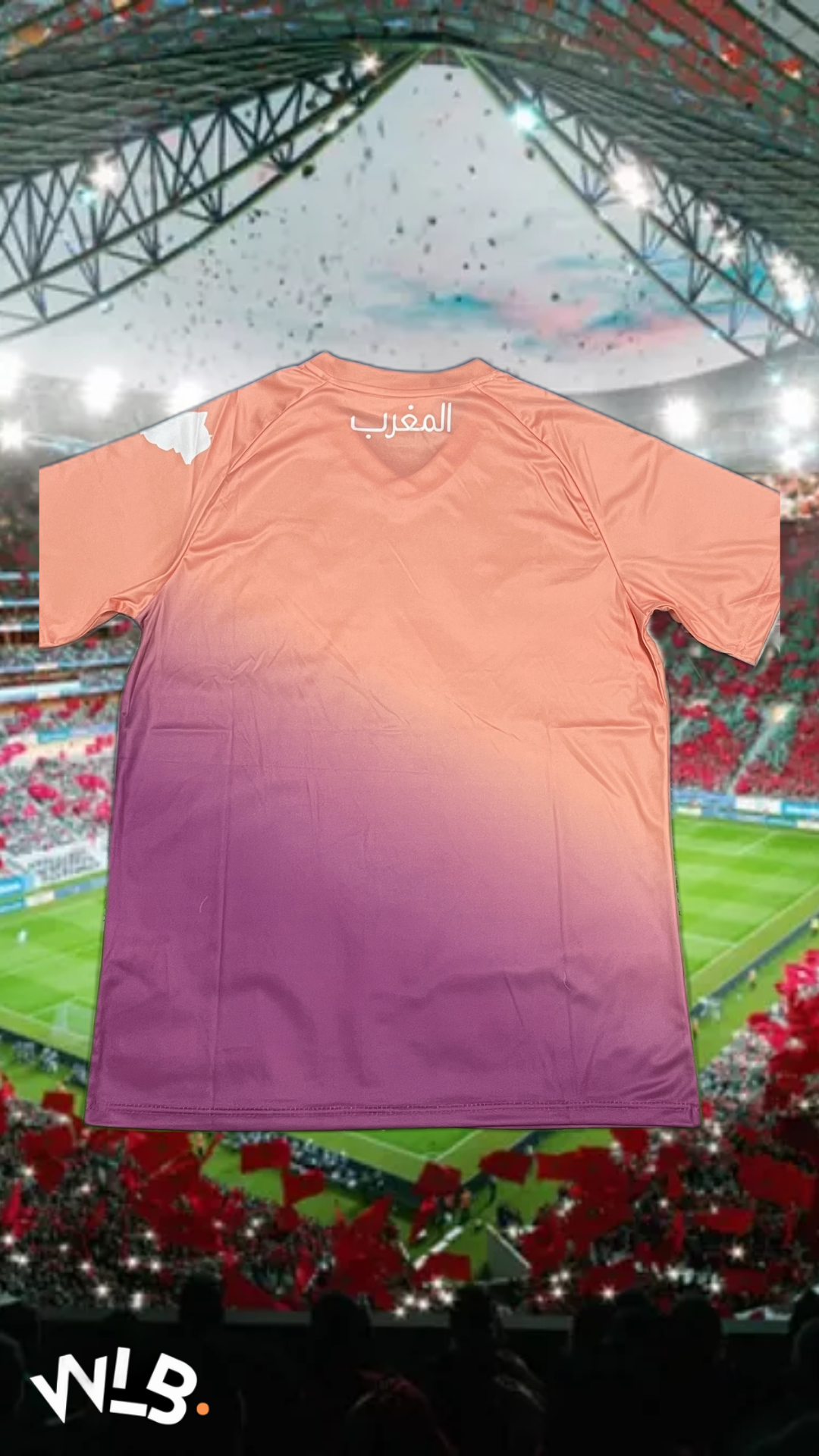 Maillot Concept Maroc MARRON 2024/2025 Supporters Version