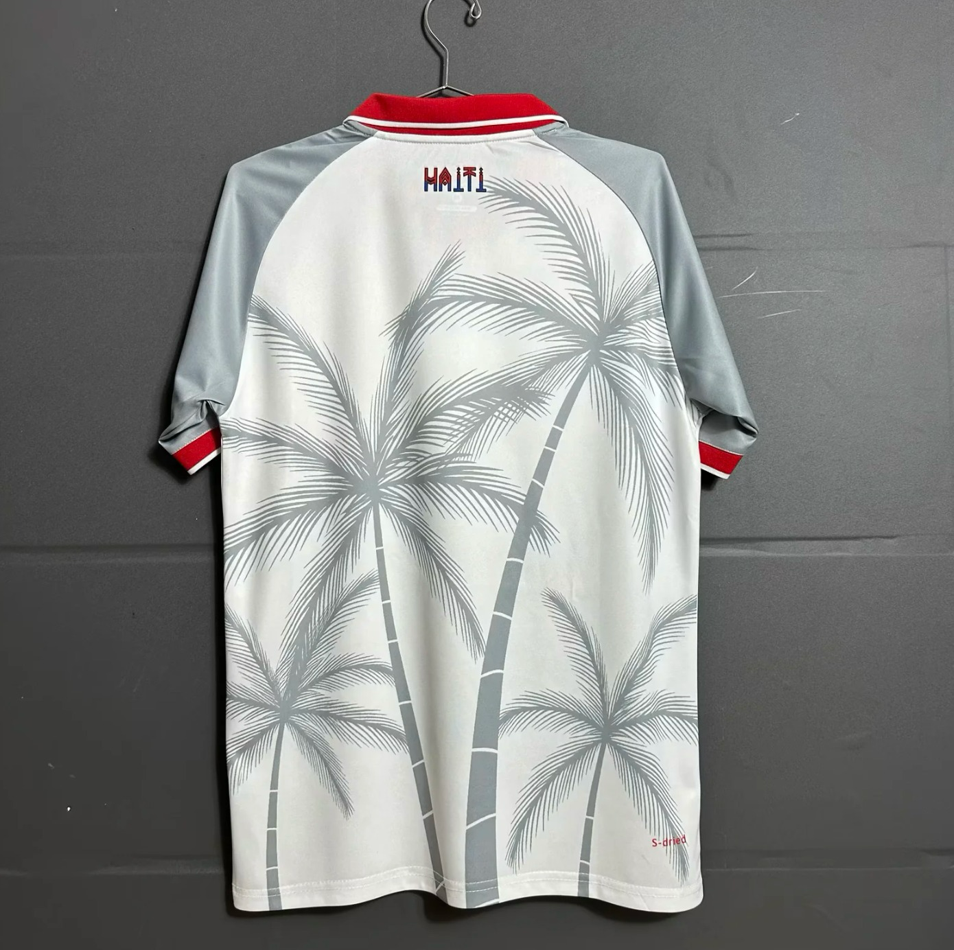 Maillot Extérieur HAITI 2025/2026 Players Version 