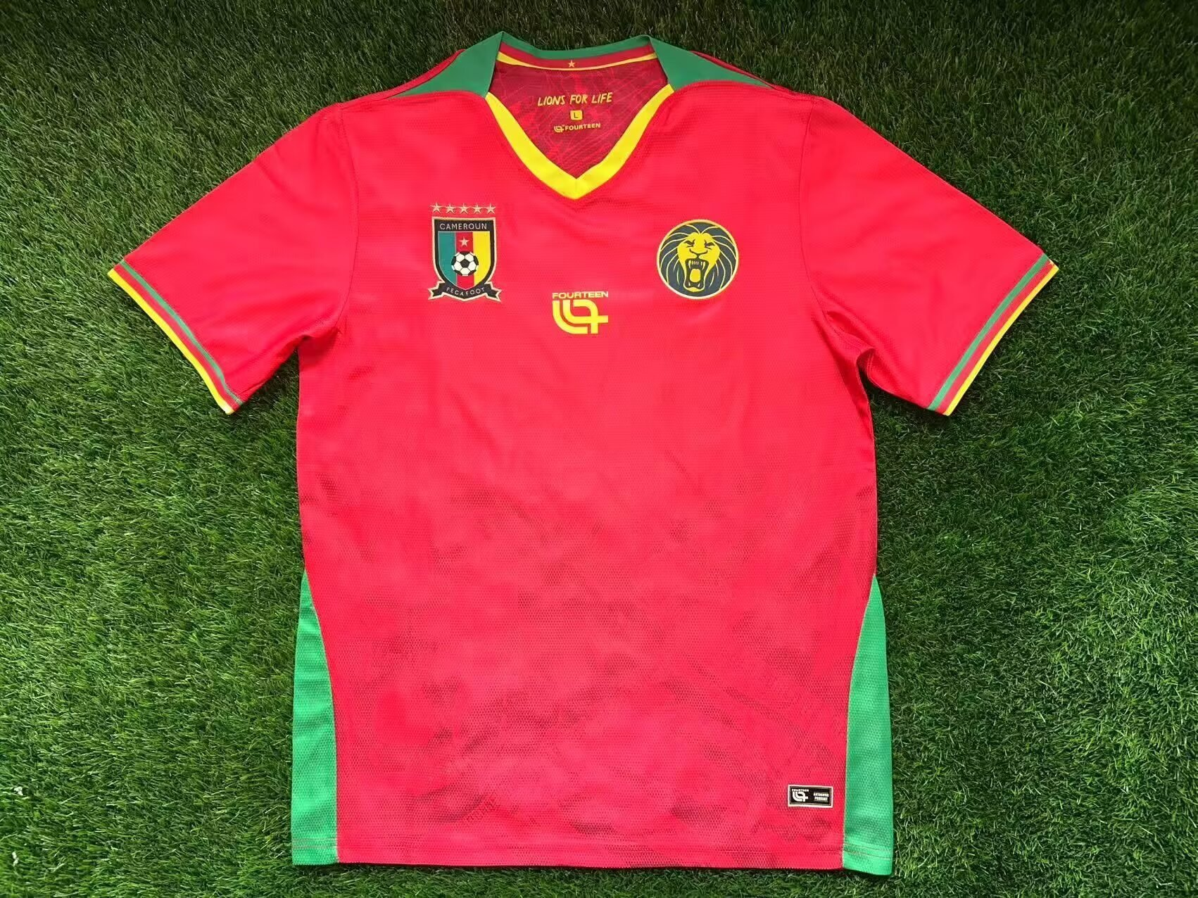 Maillot Extérieur Cameroun CAN 2025 Players Version
