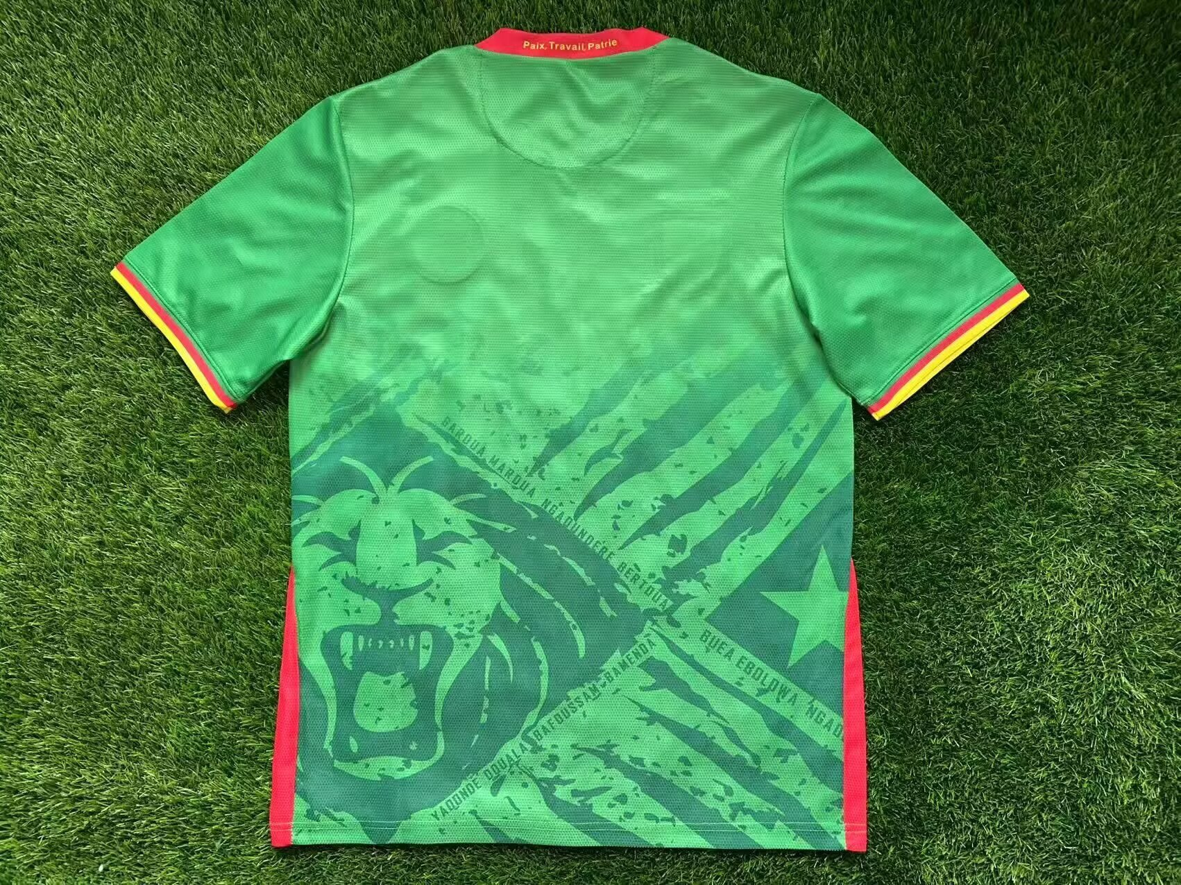 Maillot Domicile Cameroun CAN 2025 Players Version
