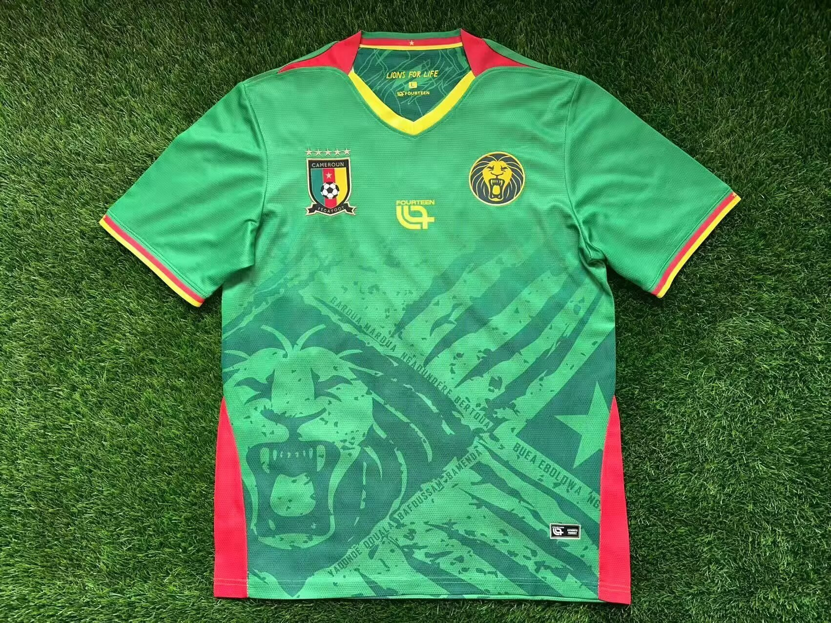 Maillot Domicile Cameroun CAN 2025 Players Version