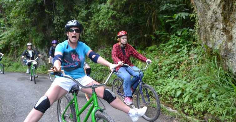 Blue Mountain Peak Tour