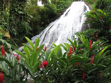 Shaw Park Gardens & Waterfall
