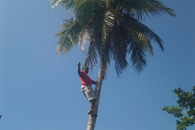 Sun Valley Plantation