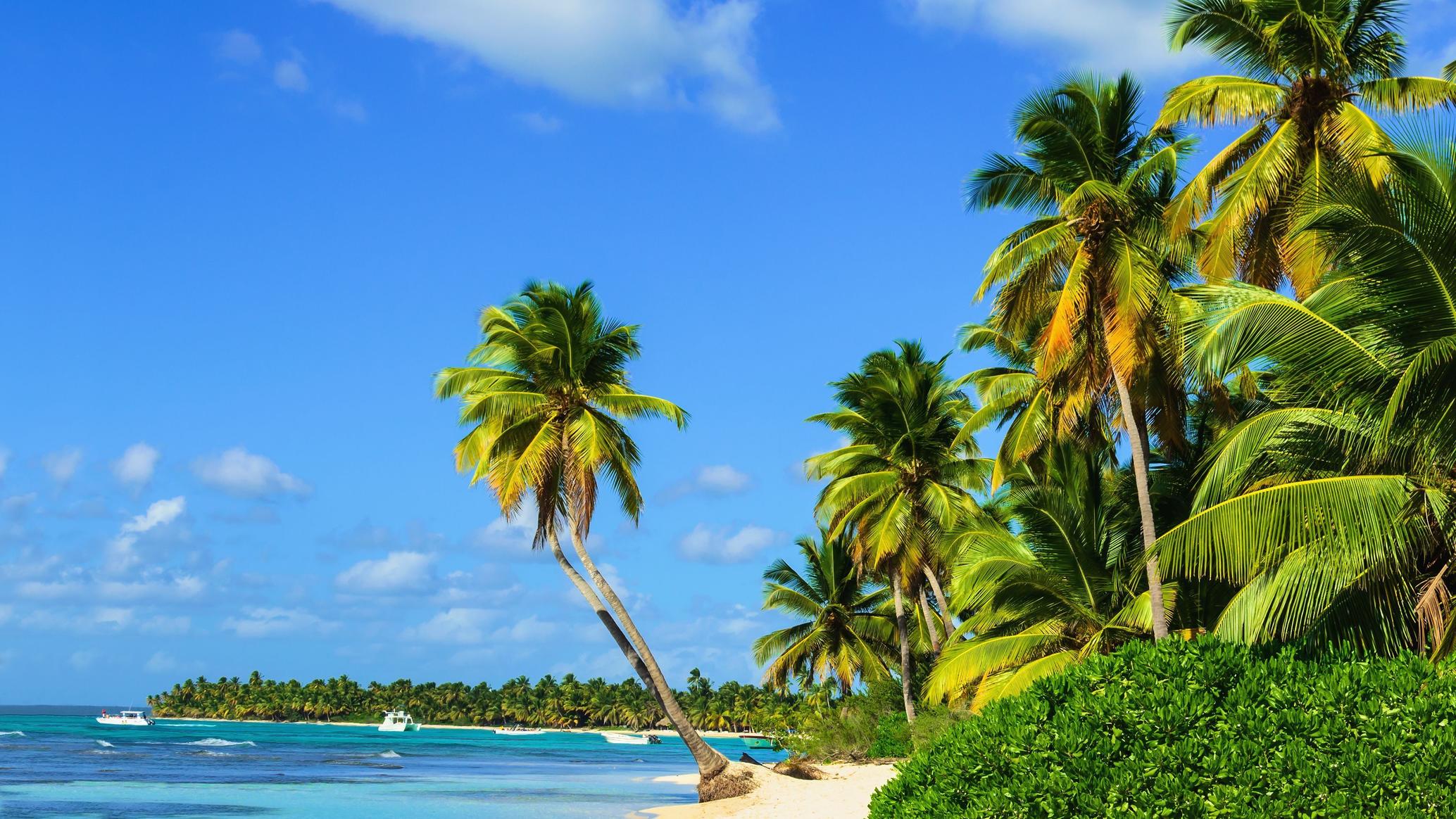 Montego Bay Day Tour