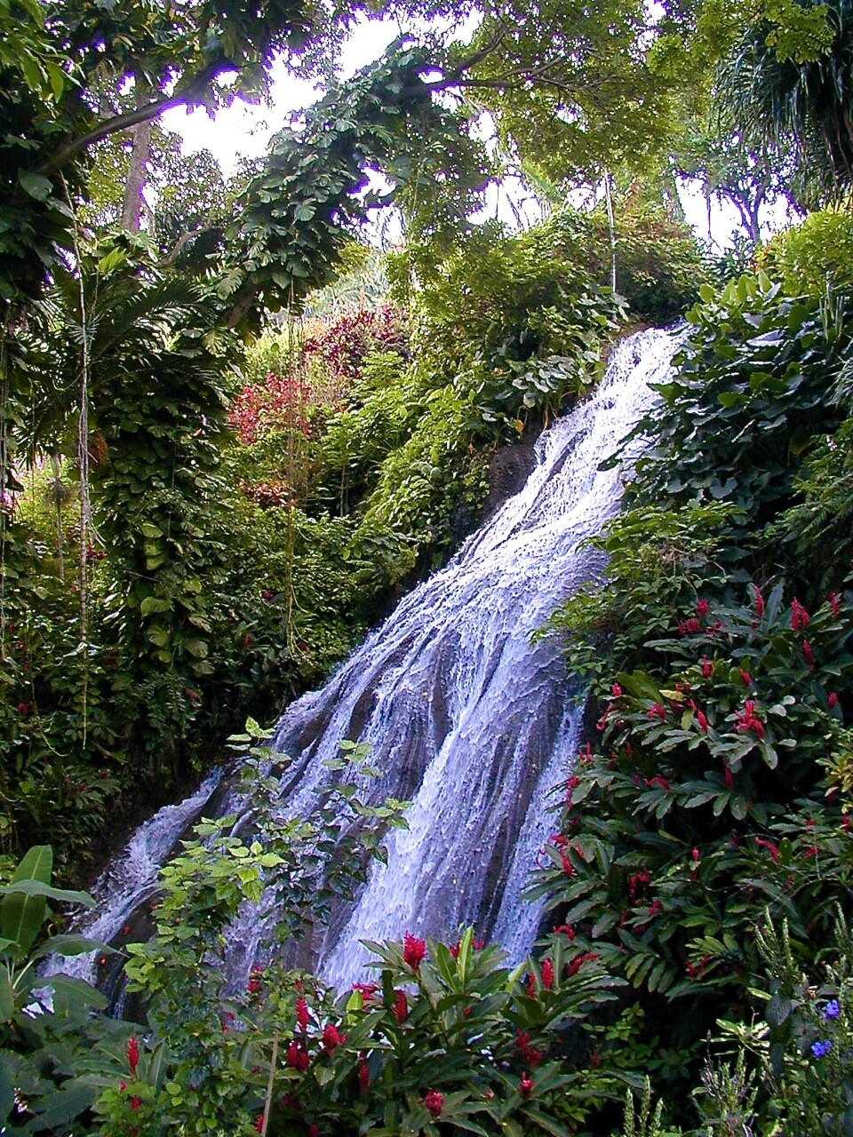 Shaw Park Gardens & Waterfall