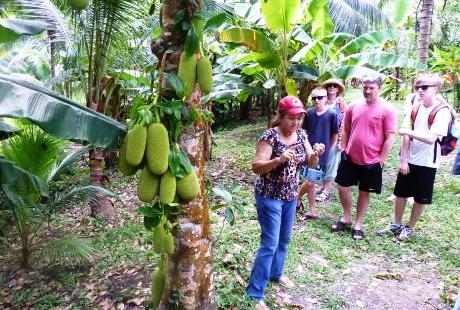 Sun Valley Plantation