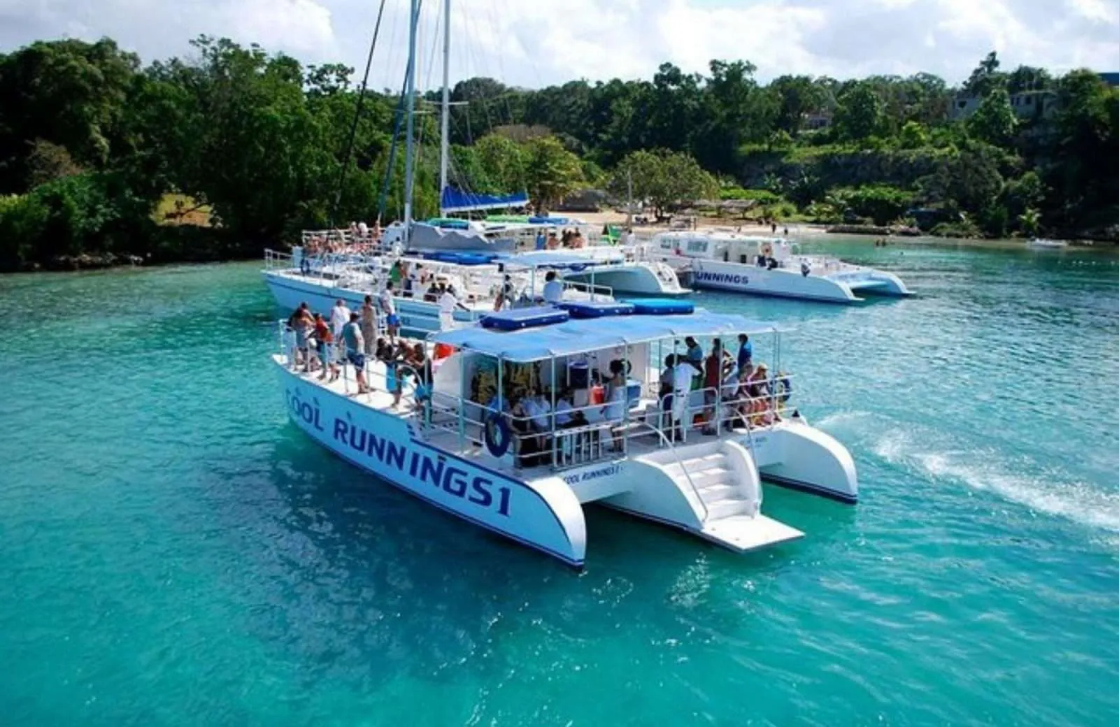 CATAMARAN    / PARTY BOAT