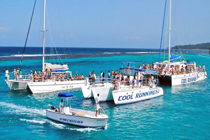 CATAMARAN    / PARTY BOAT