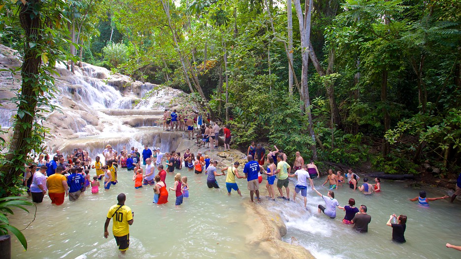 ZIPLINE AND DUNNS RIVER ADVENTURE