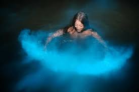 RIVER RAFTING & LUMINOUS LAGOON TOUR – MONTEGO BAY