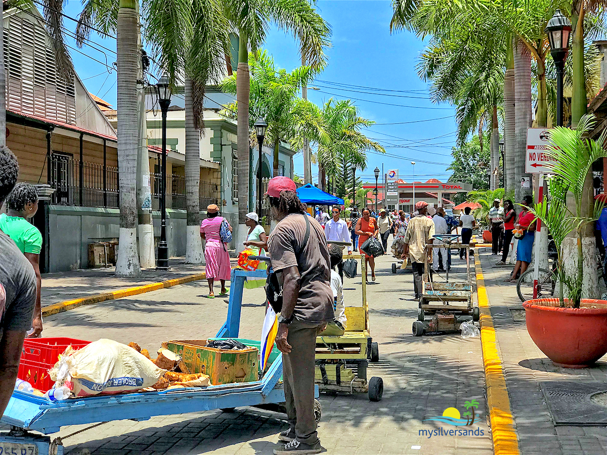 Falmouth Sightseeing Tour