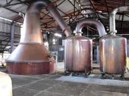 HAMPDEN ESTATE RUM TOUR – FROM FALMOUTH