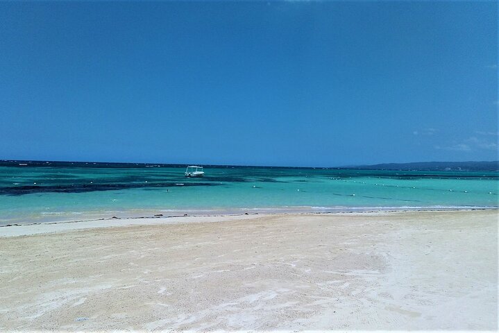 WEED FARM AND BEACH ADVENTURE