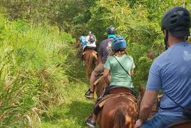ATV & HORSEBACK RIDING TOUR – MONTEGO BAY