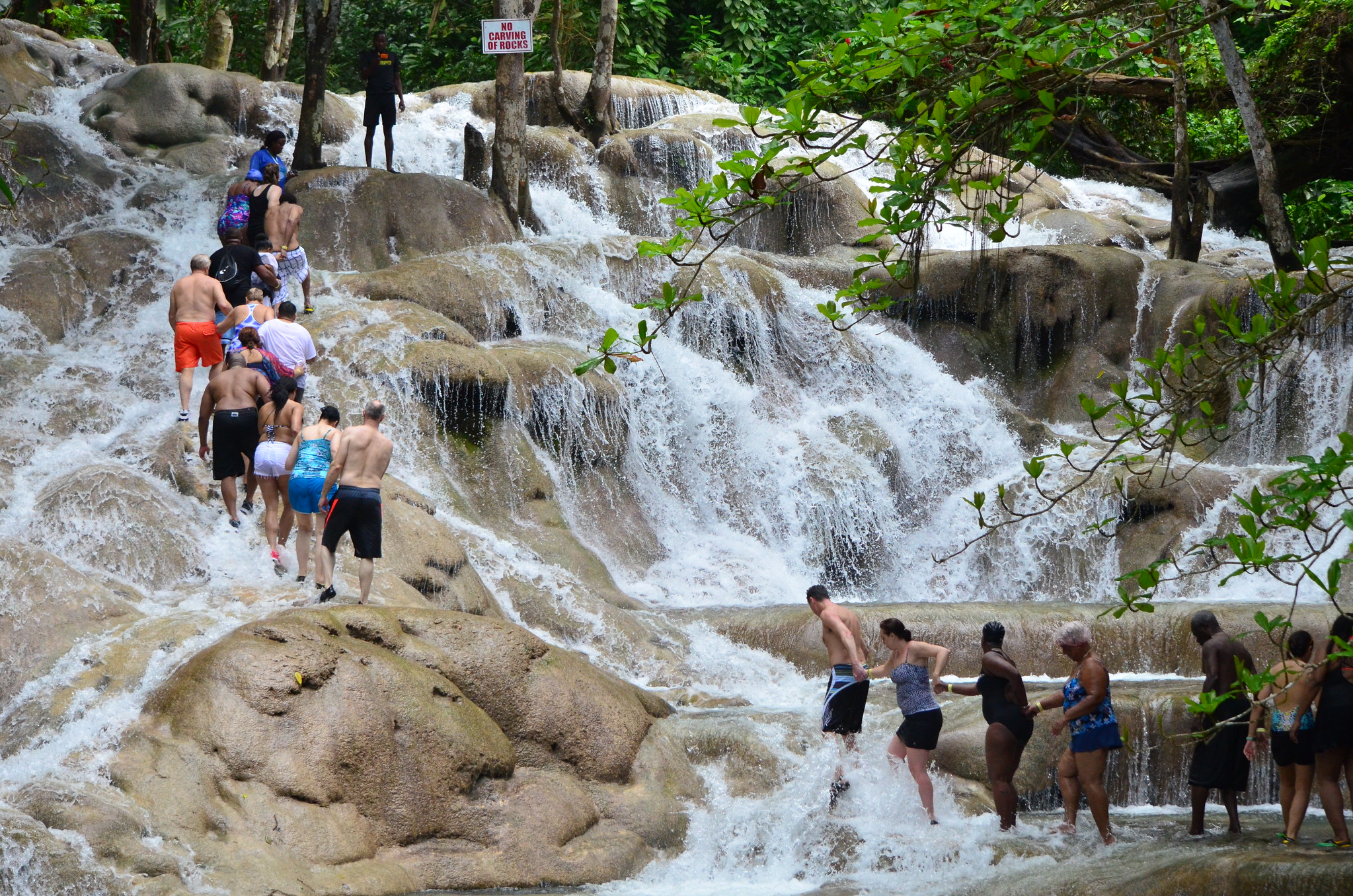 DUNN’S RIVER FALLS & BOBSLED ADVENTURE