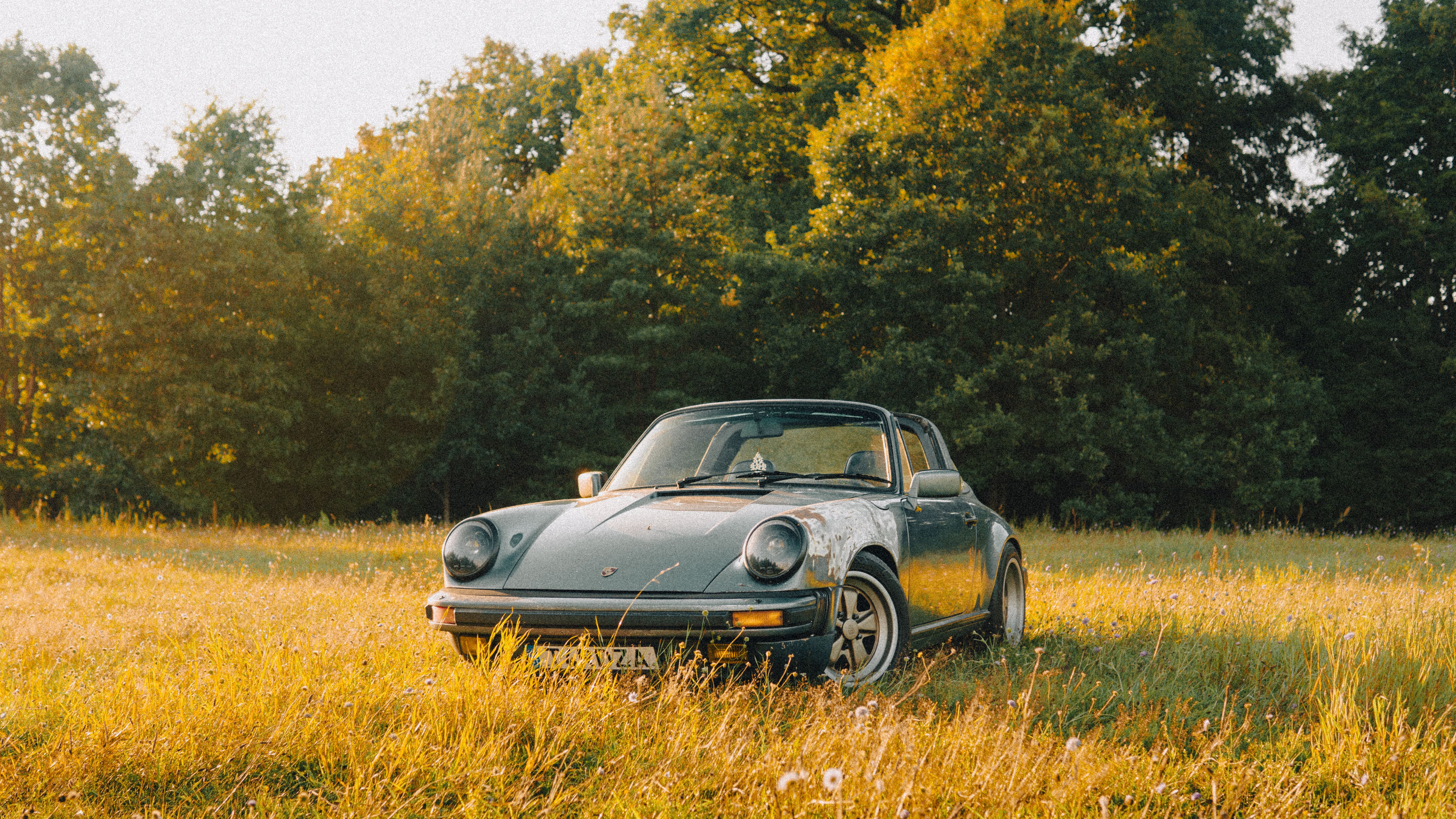 Porsche 911 Targa "TARDZA"