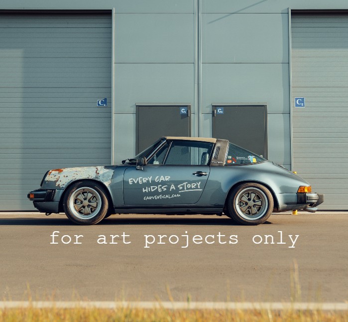 Porsche 911 Targa "TARDZA"
