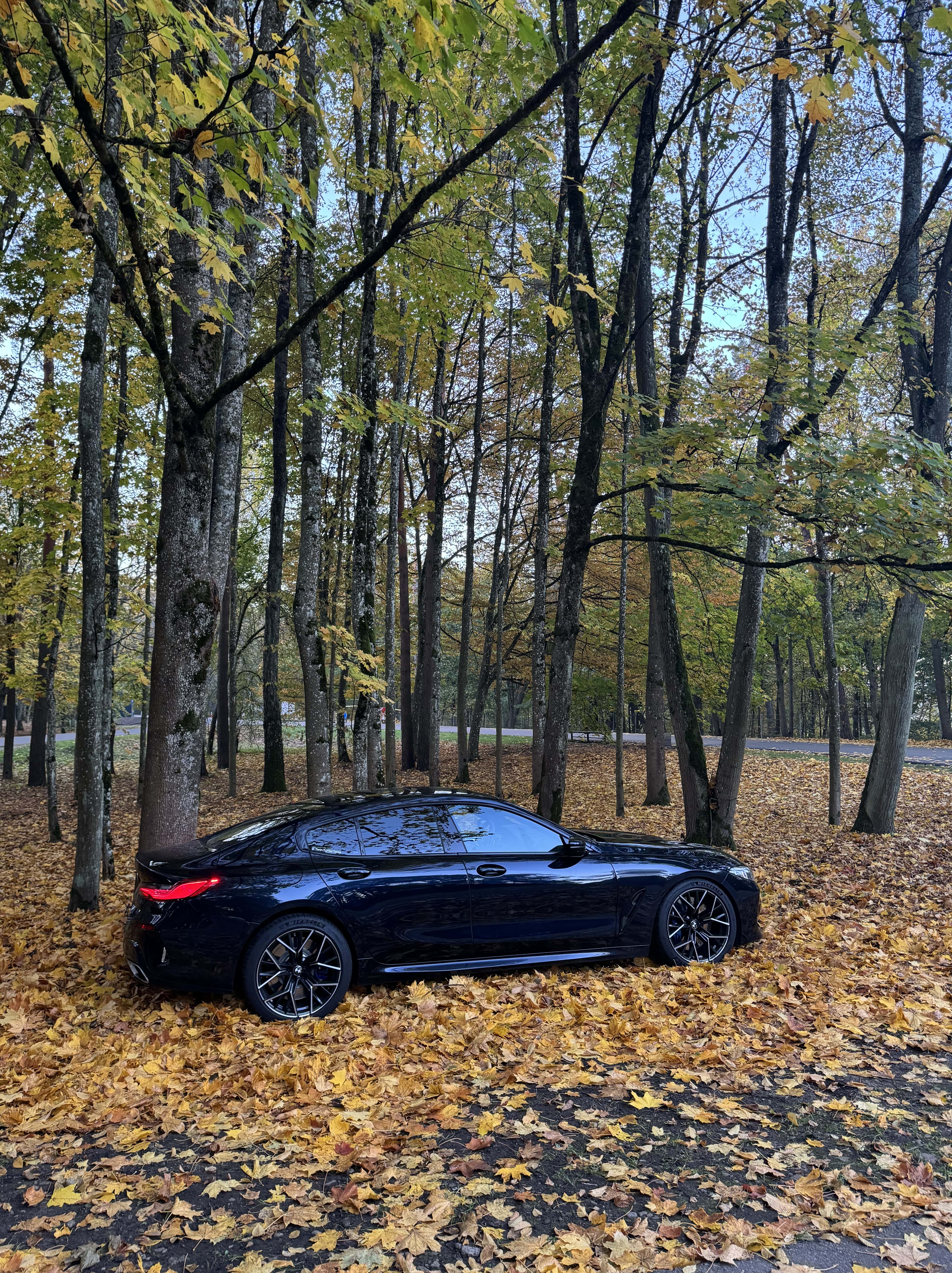 Bmw M850i