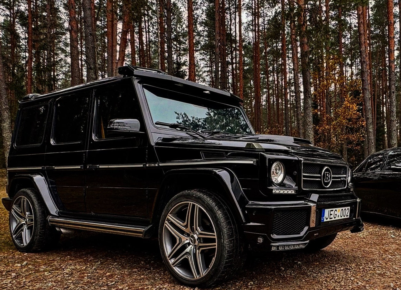 Mercedes Benz G (W463)