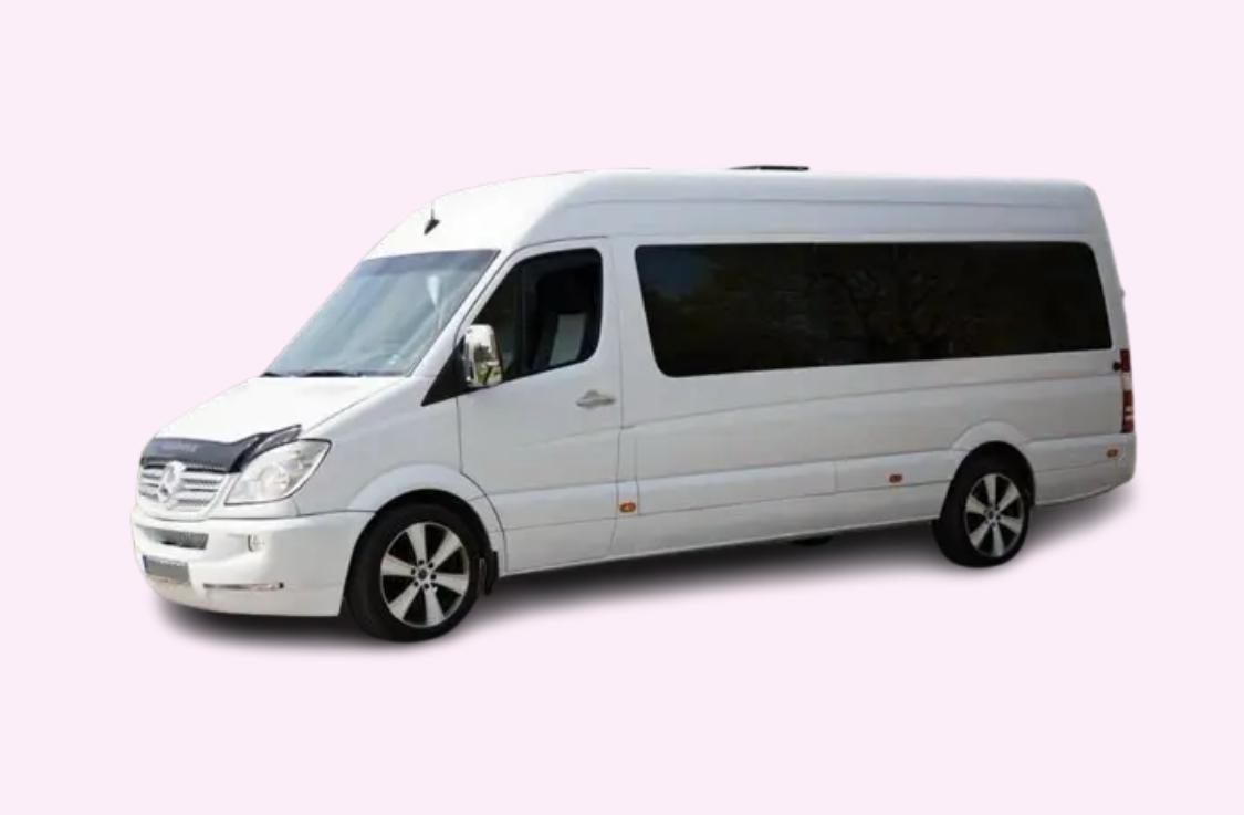 Mercedes-Benz Sprinter Party