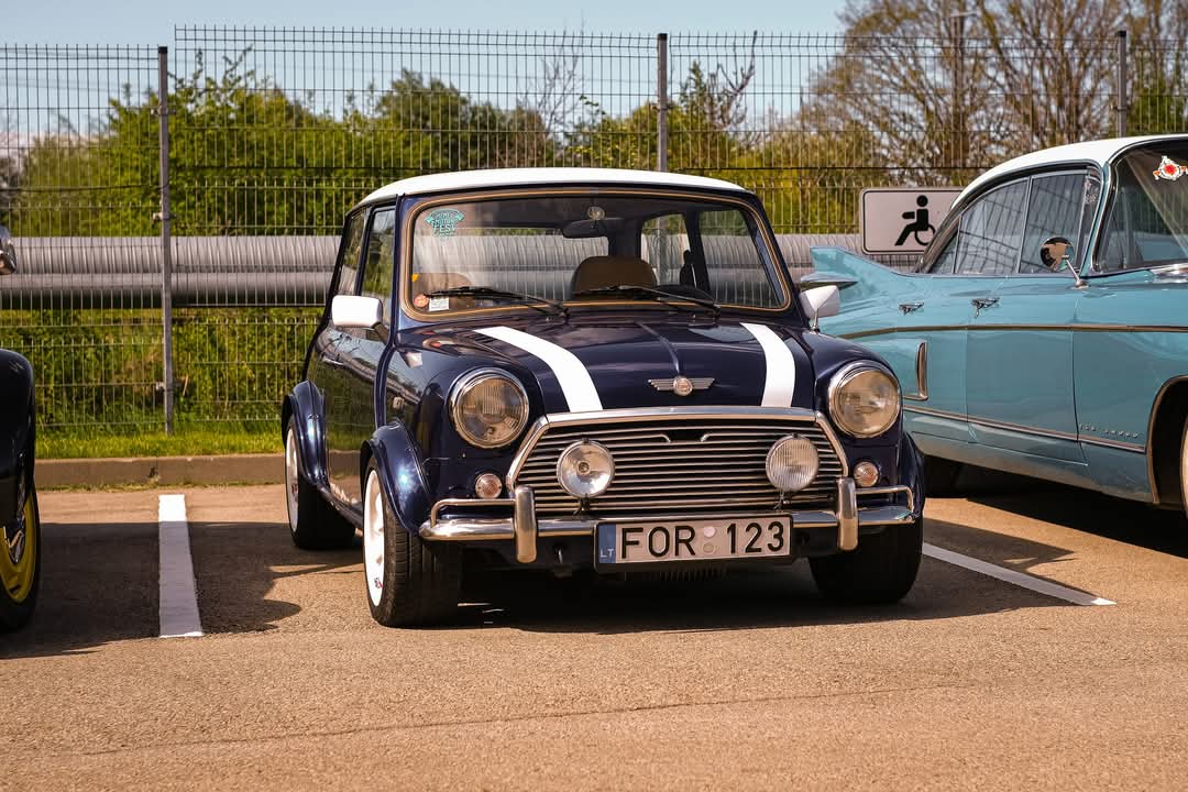Rover Mini