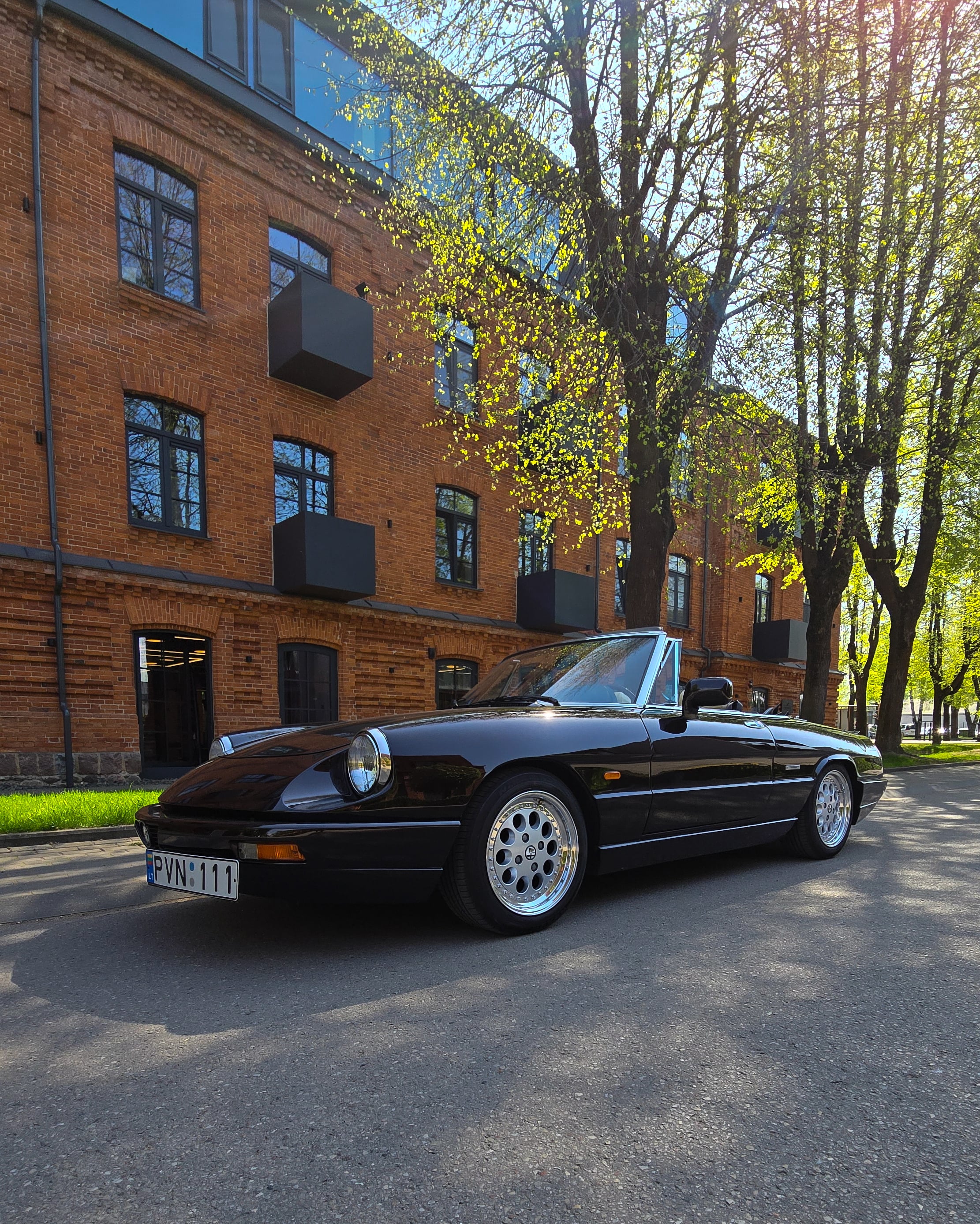 Alfa Romeo Spider