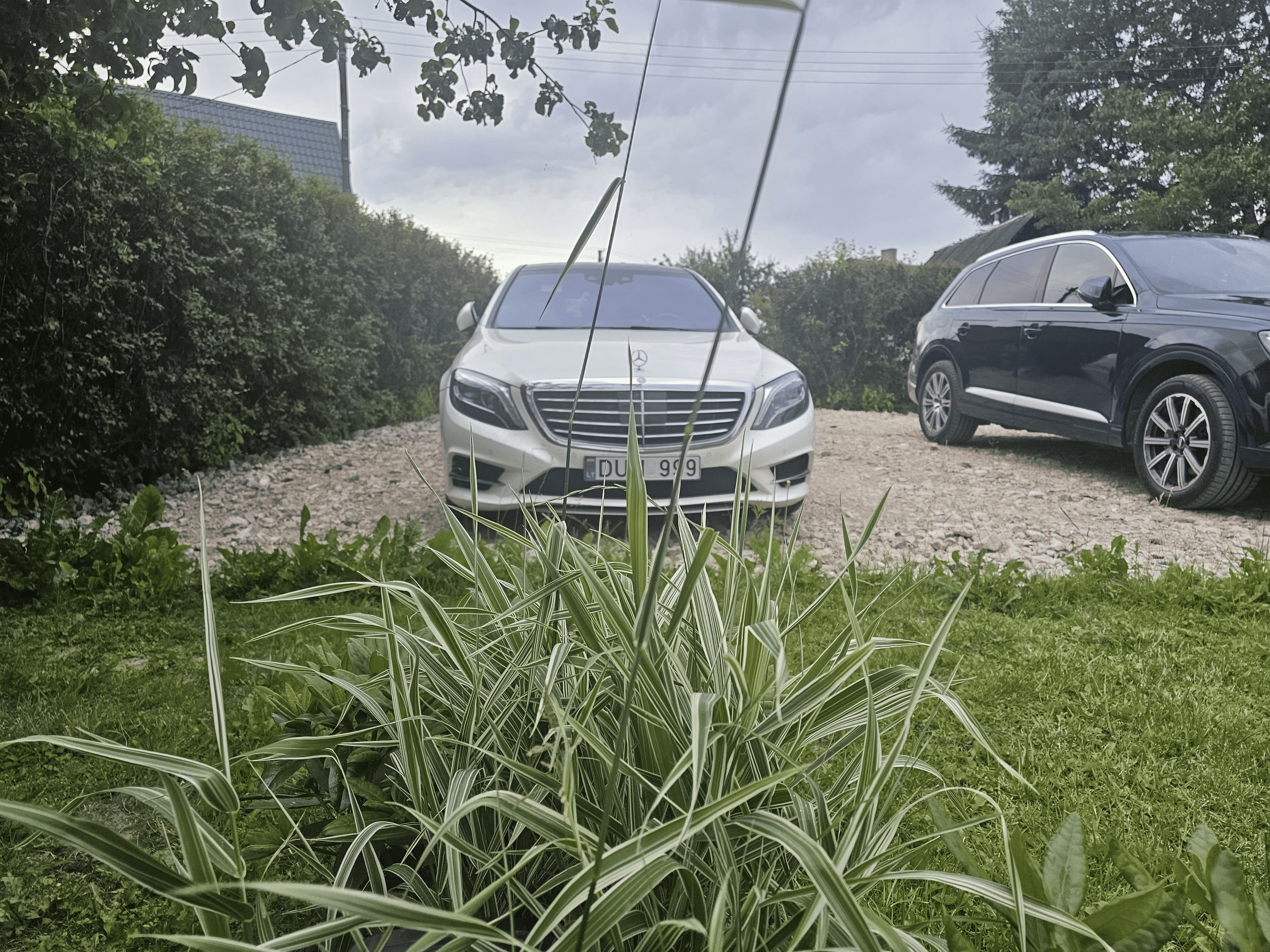 Mercedes-Benz S Class (w222)