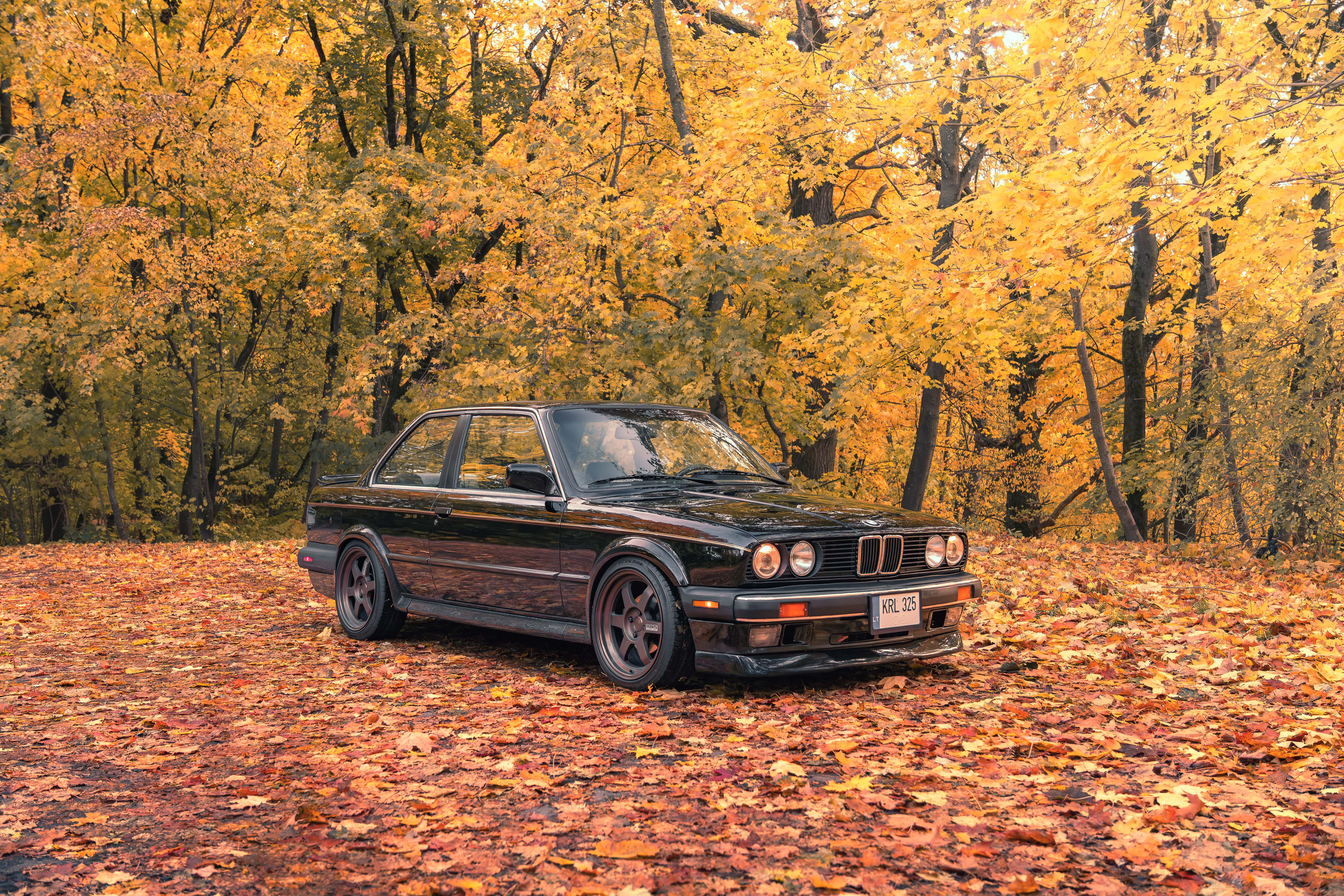 BMW E30 325iX