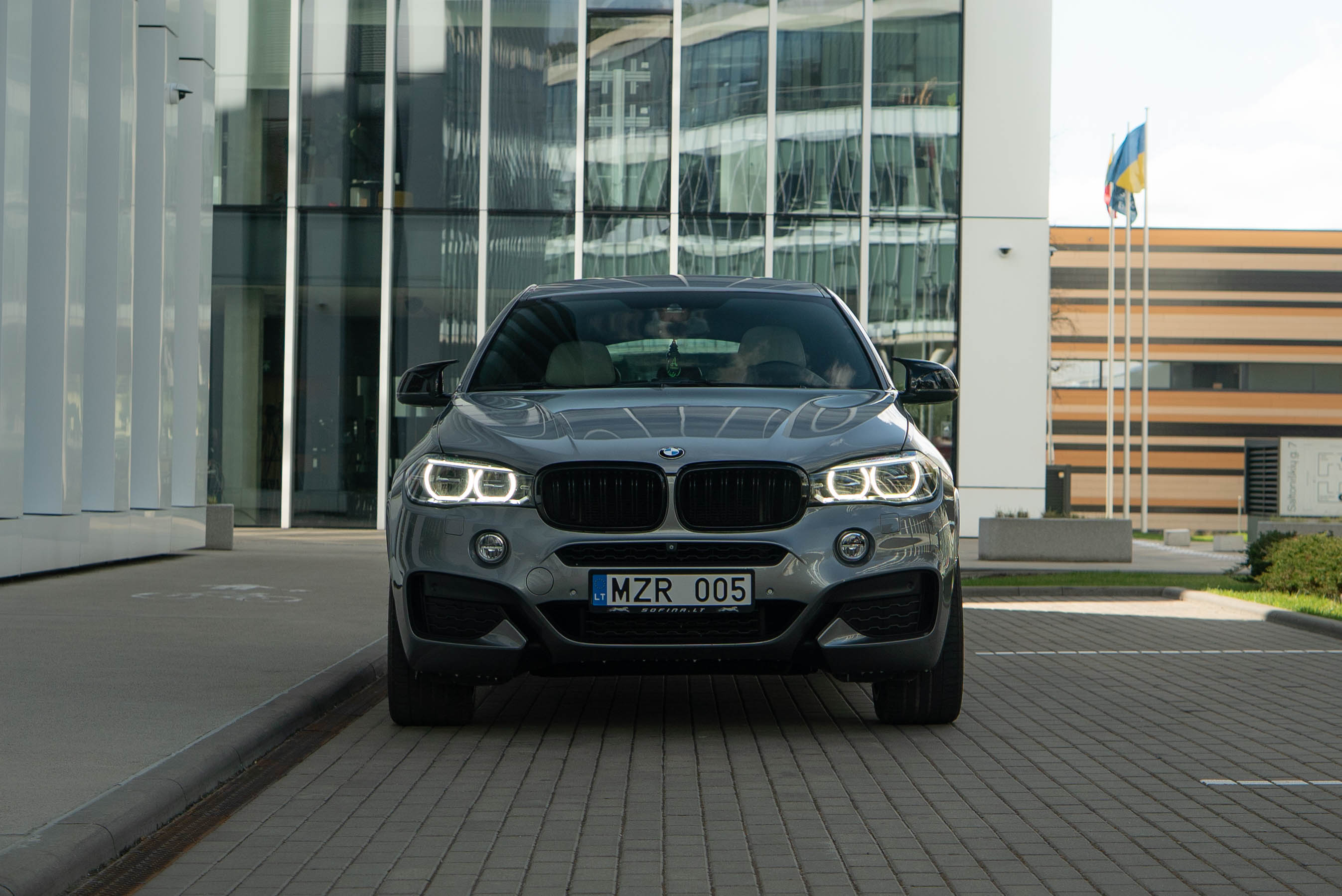 BMW X6 (S Drive)