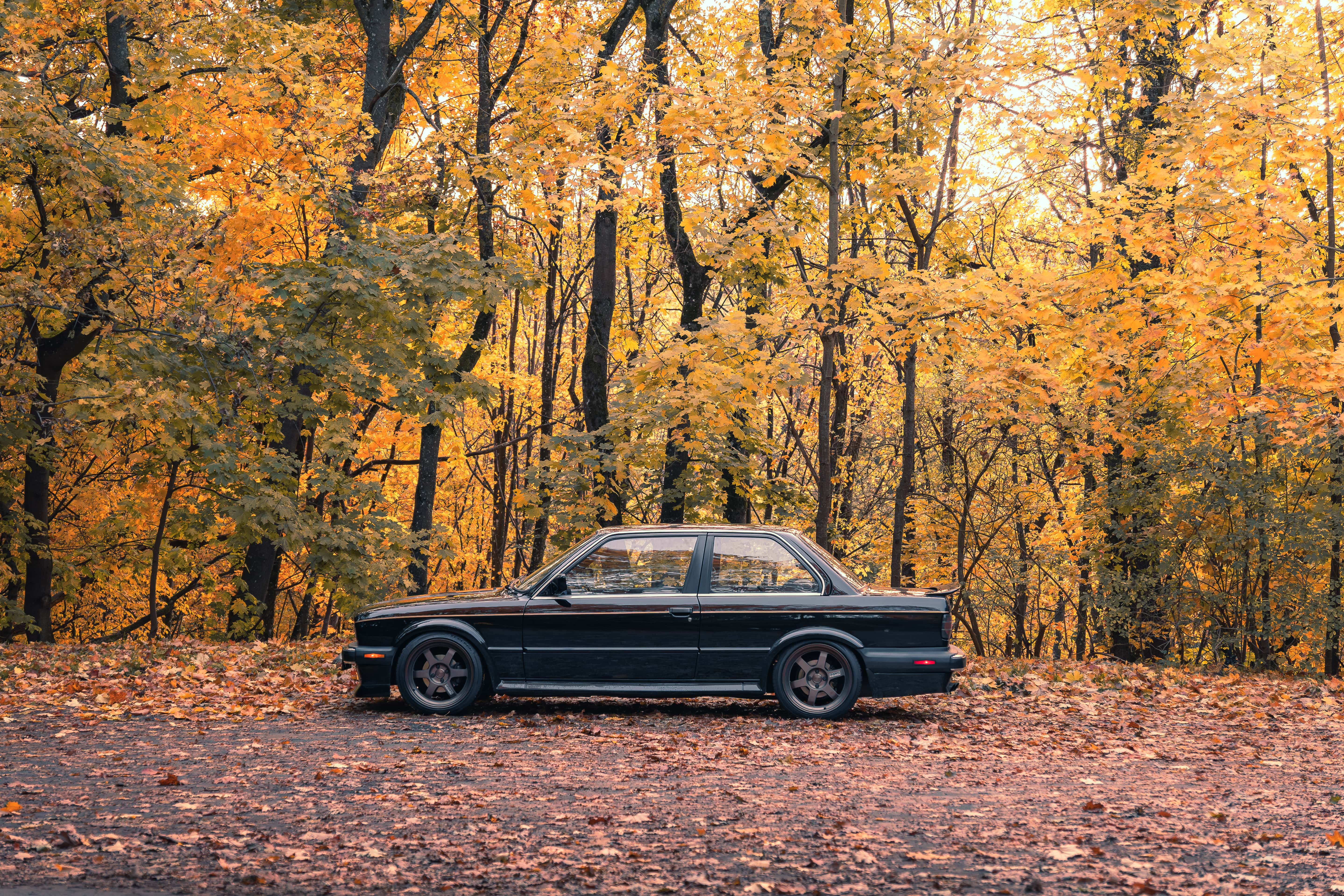 BMW E30 325iX