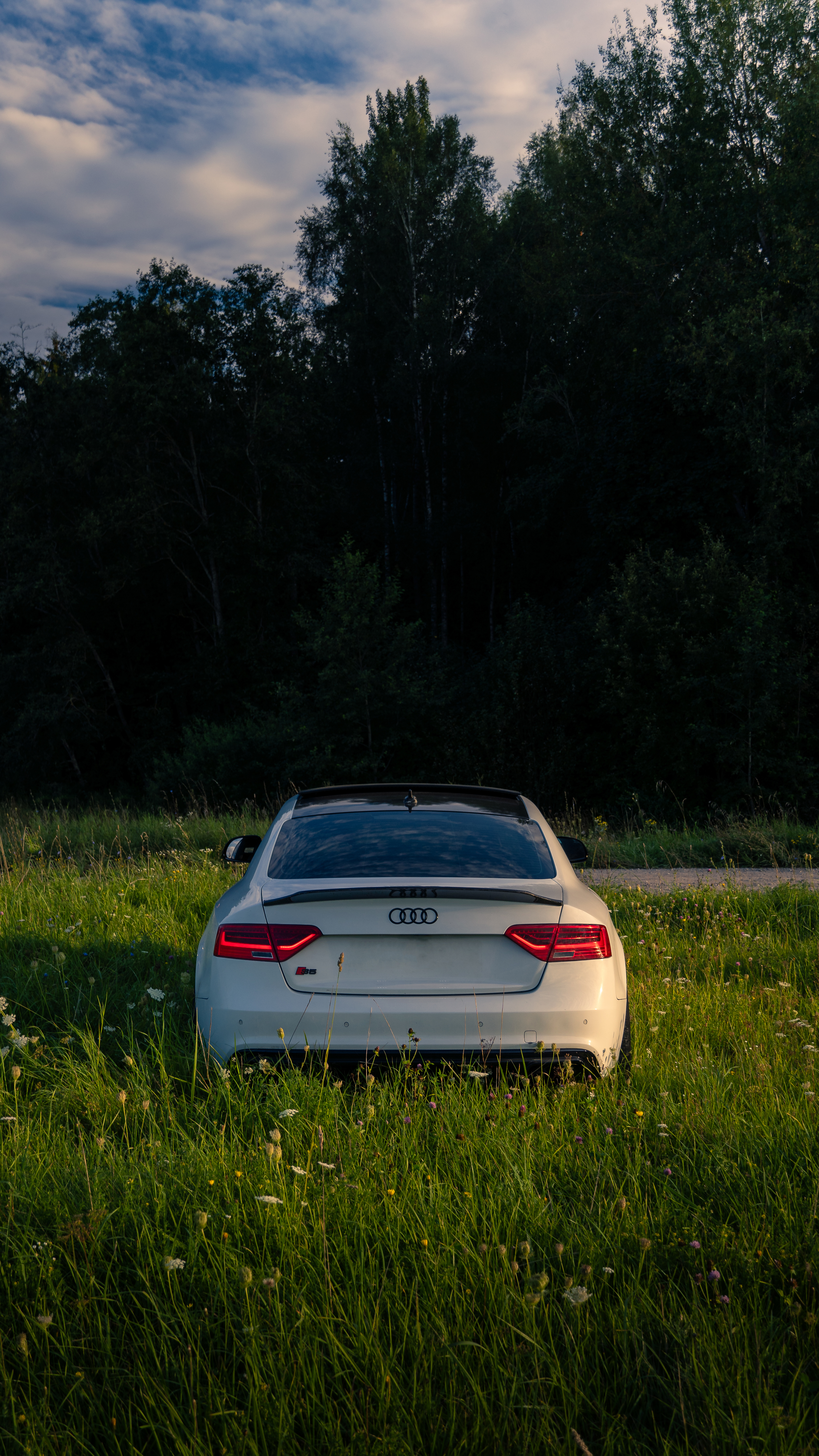 Audi S5