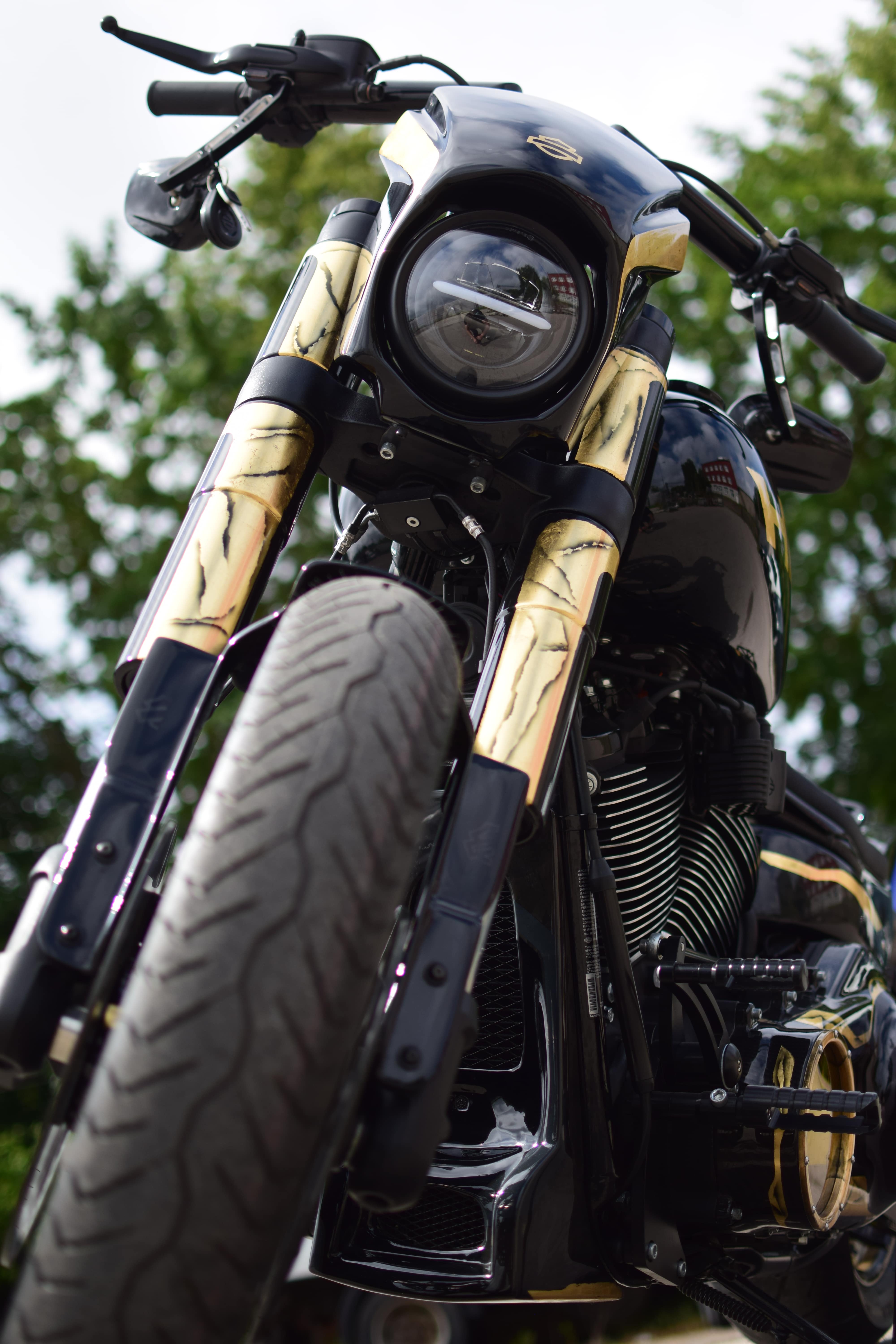 Harley-Davidson LOW RIDER
