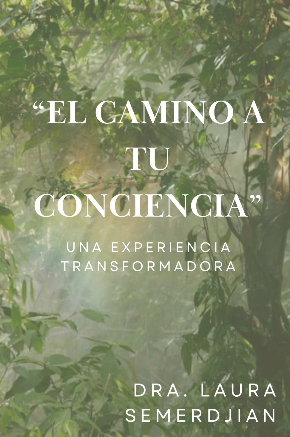 "El camino a tu conciencia"