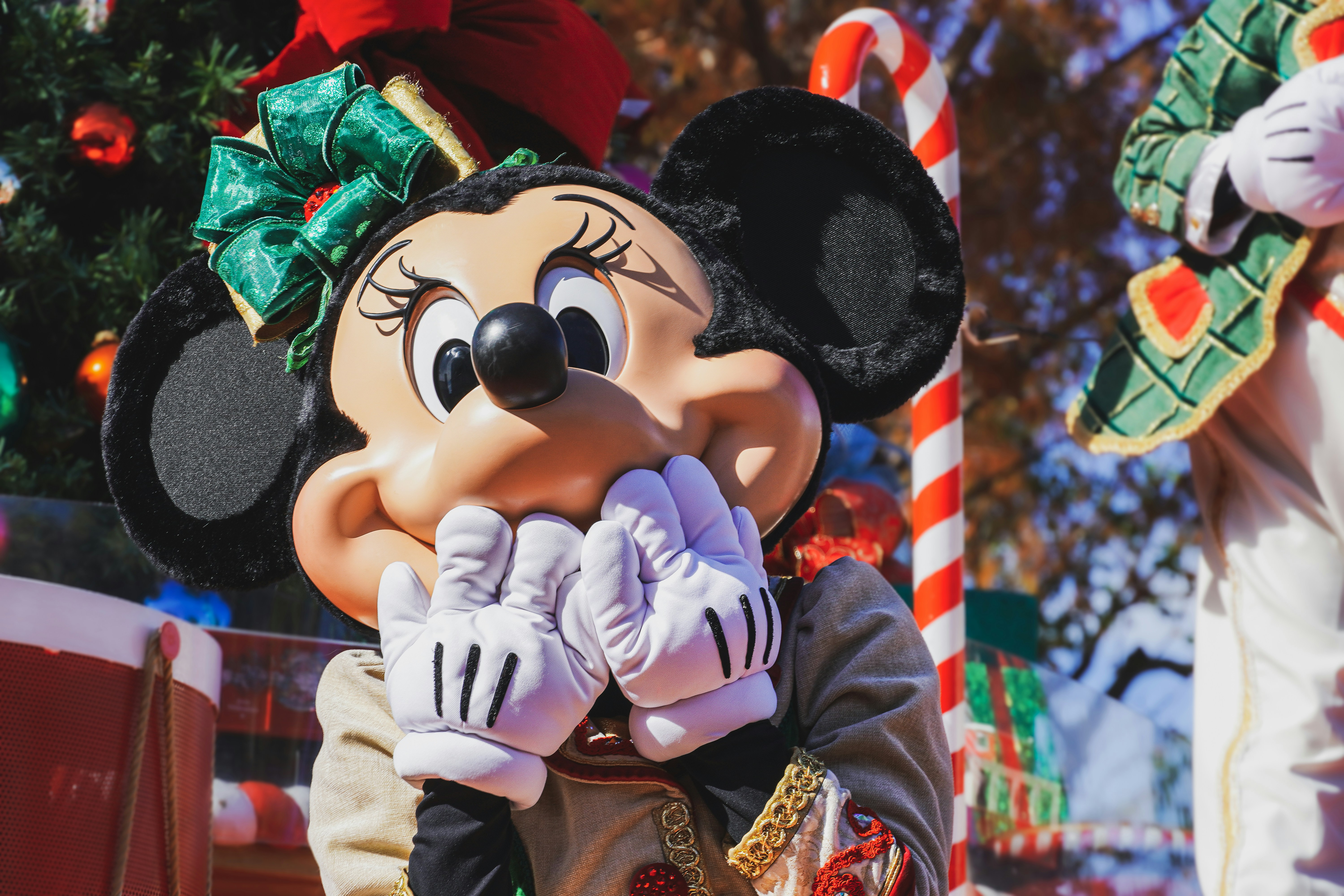 Disneyland