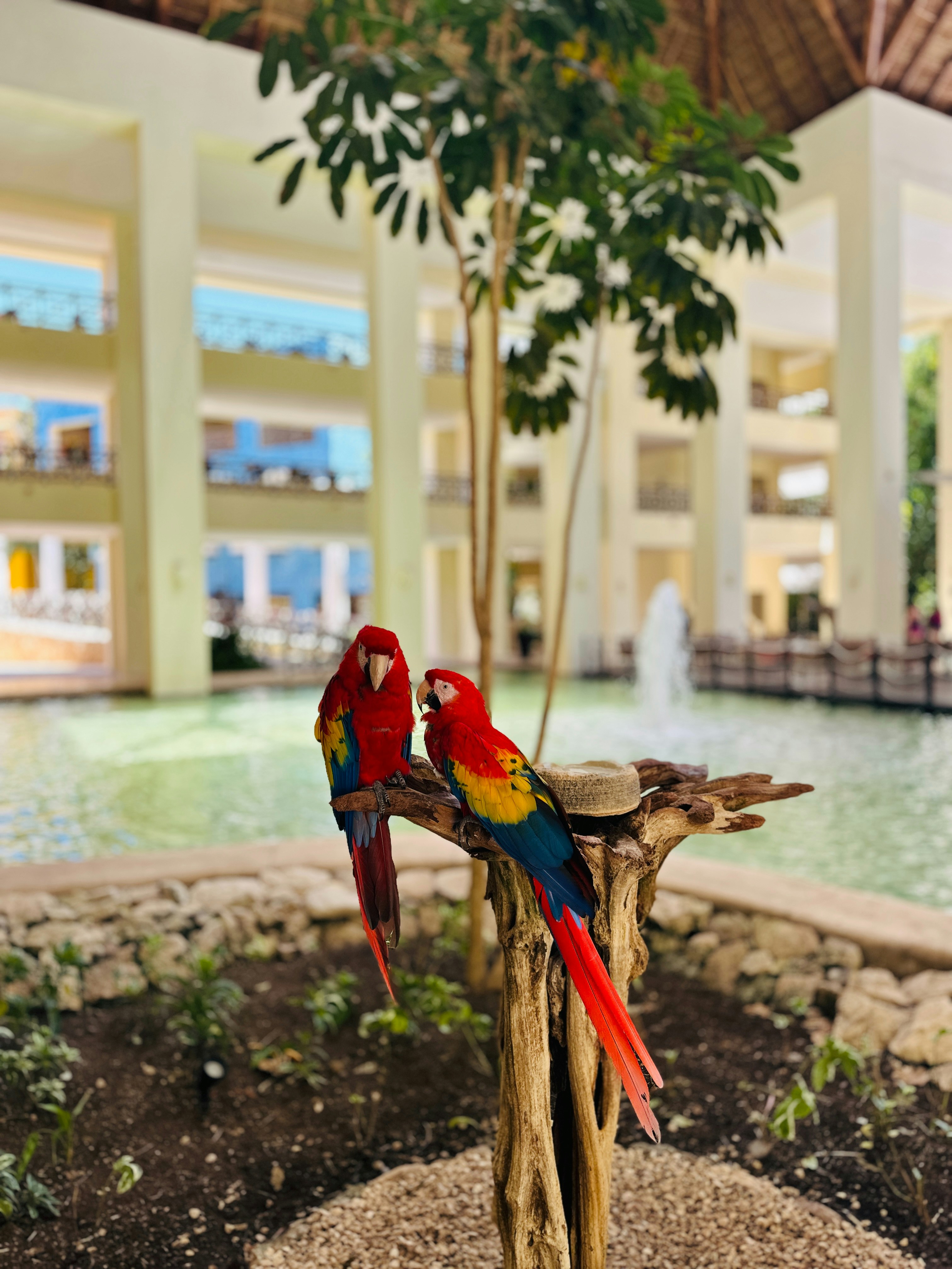 Cancun